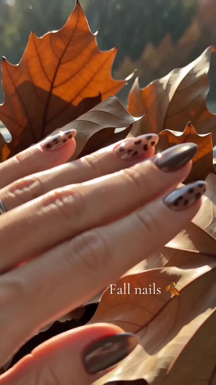 @mjvanicek