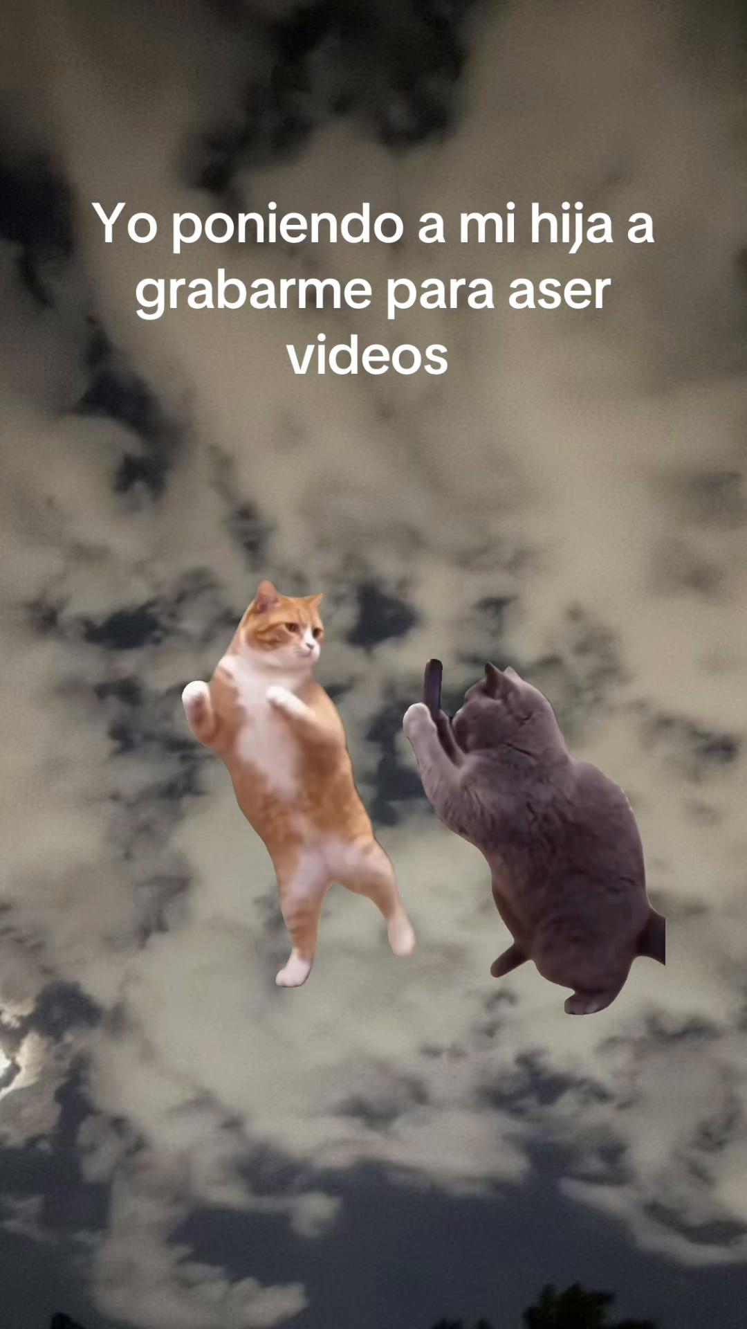 @Melissa Calzadillas