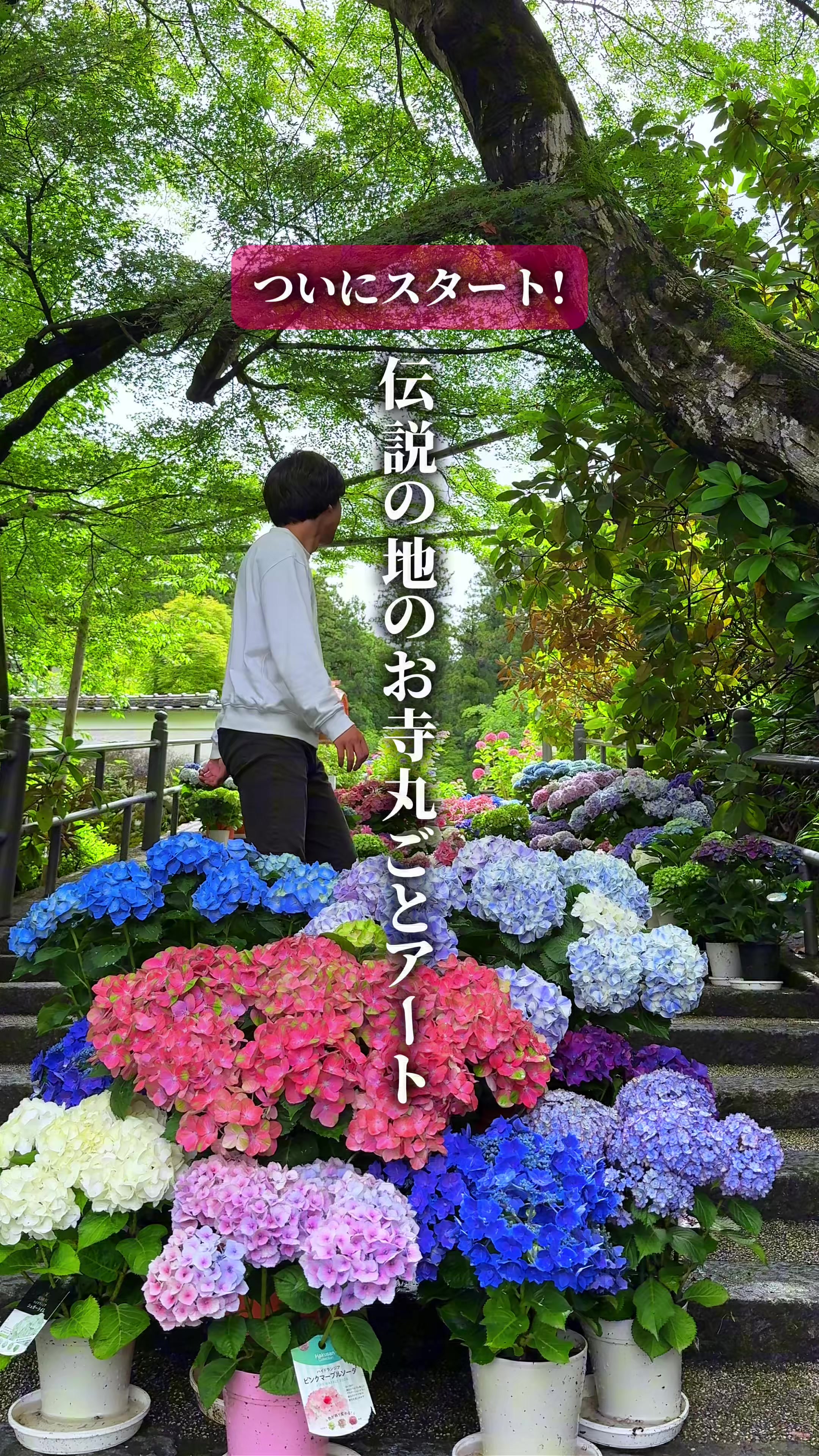 @ひろと / 大阪発！関西トレンド独占旅🔥