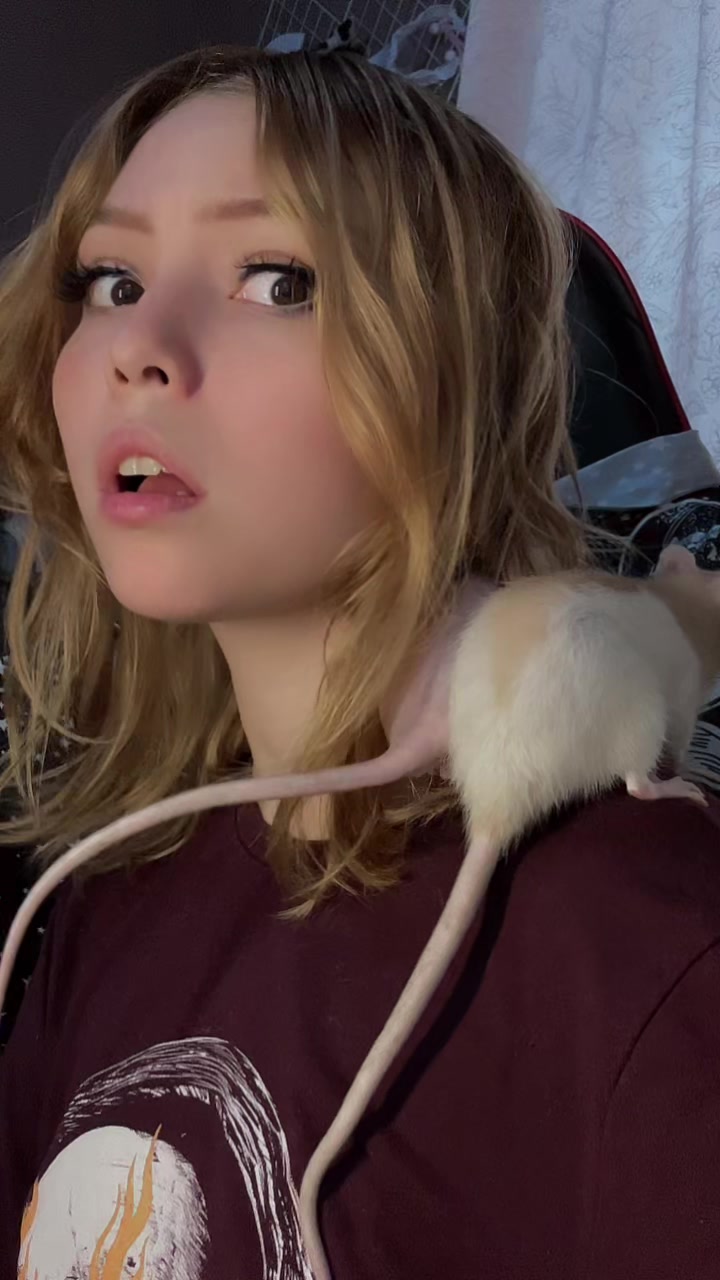 @angcasmusic