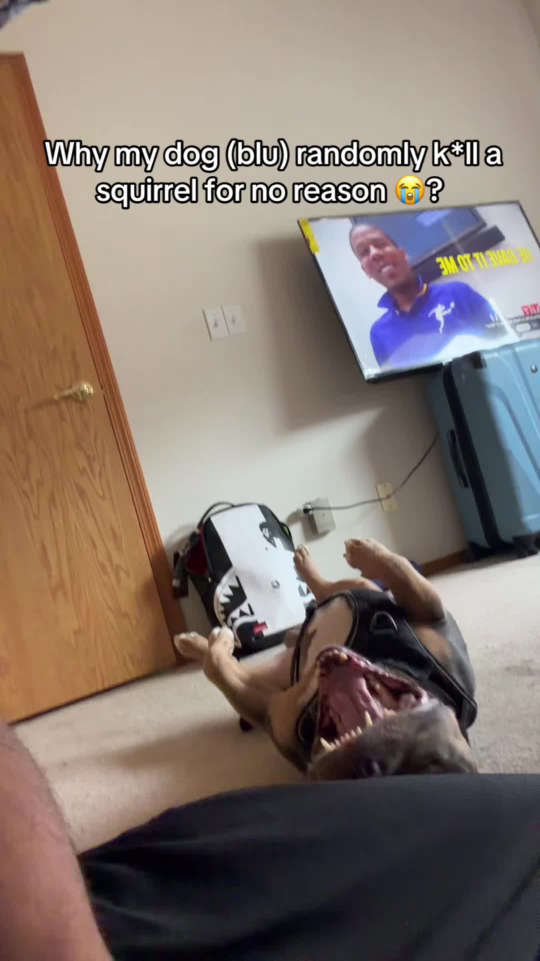 @JordanNotFunny