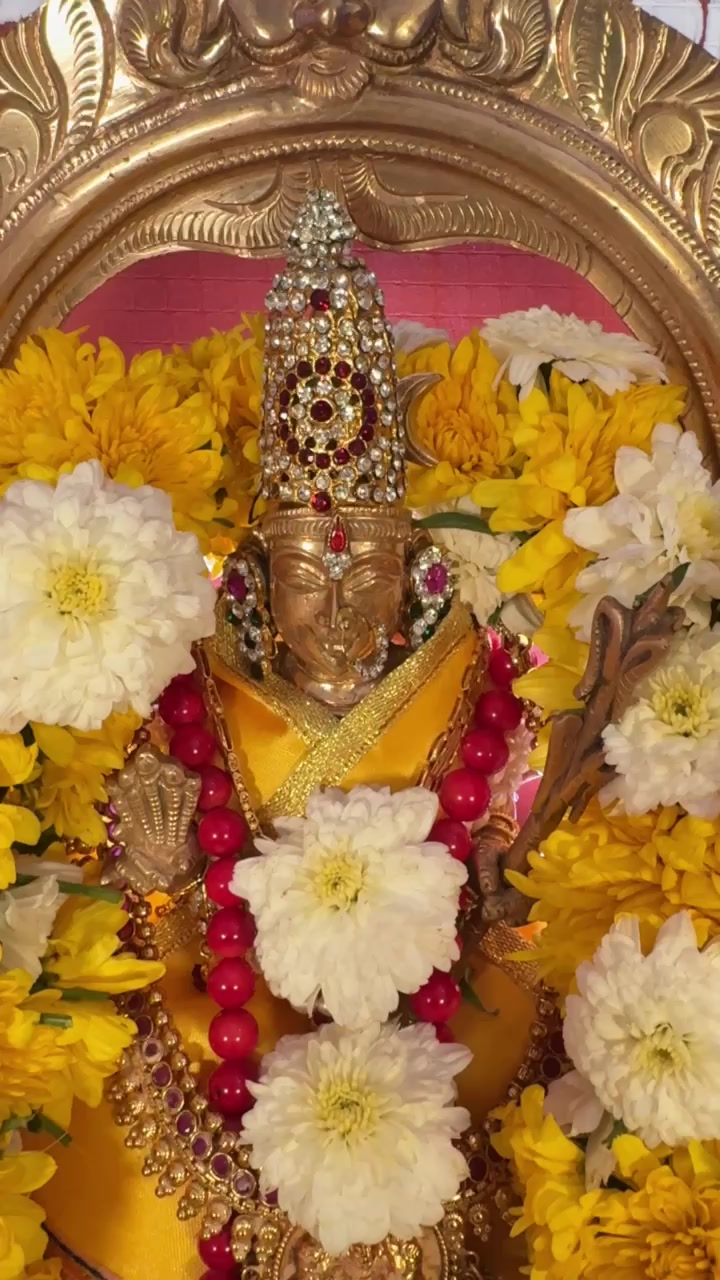 @Vasantha