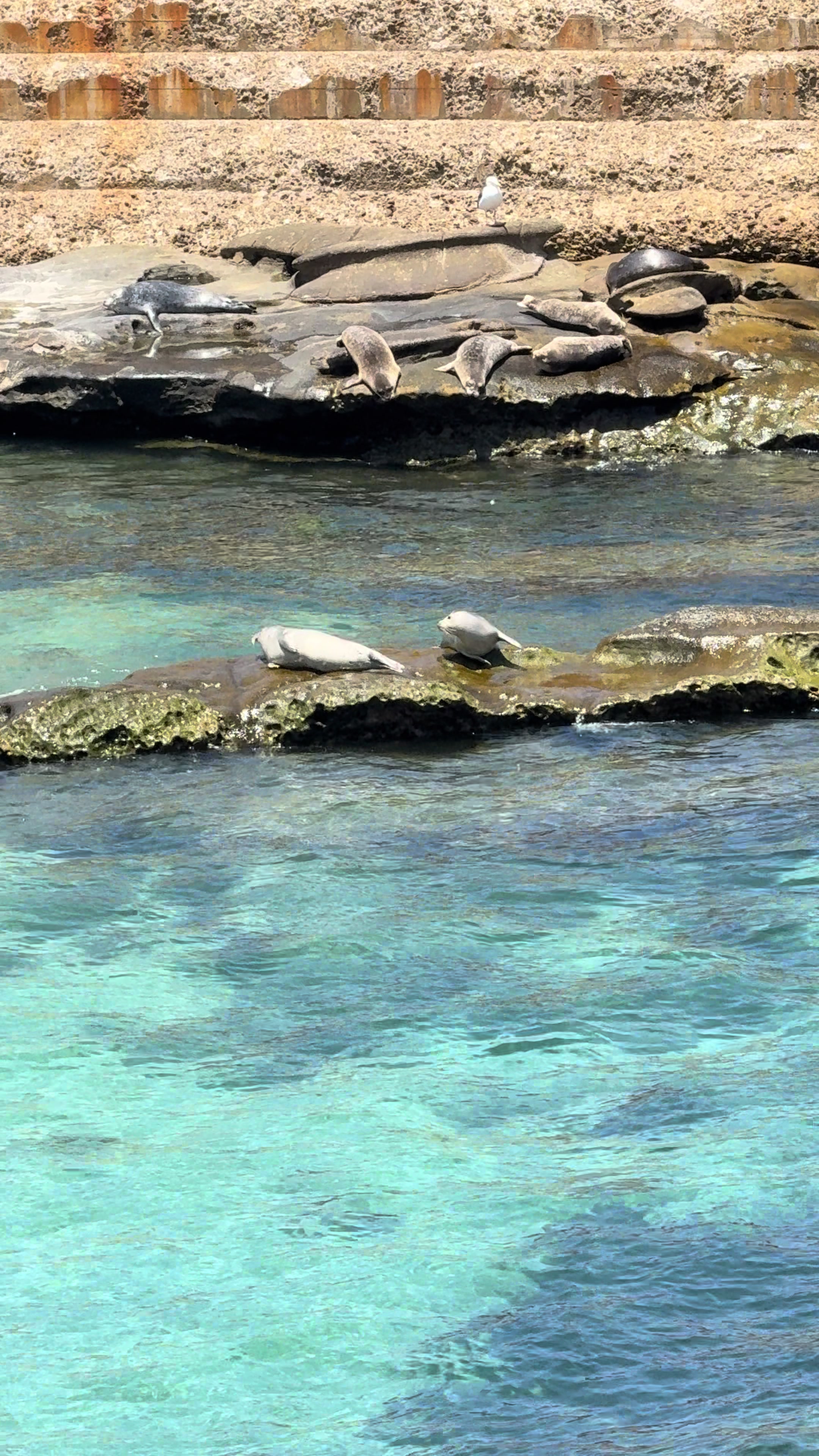 @Love Kye Made It