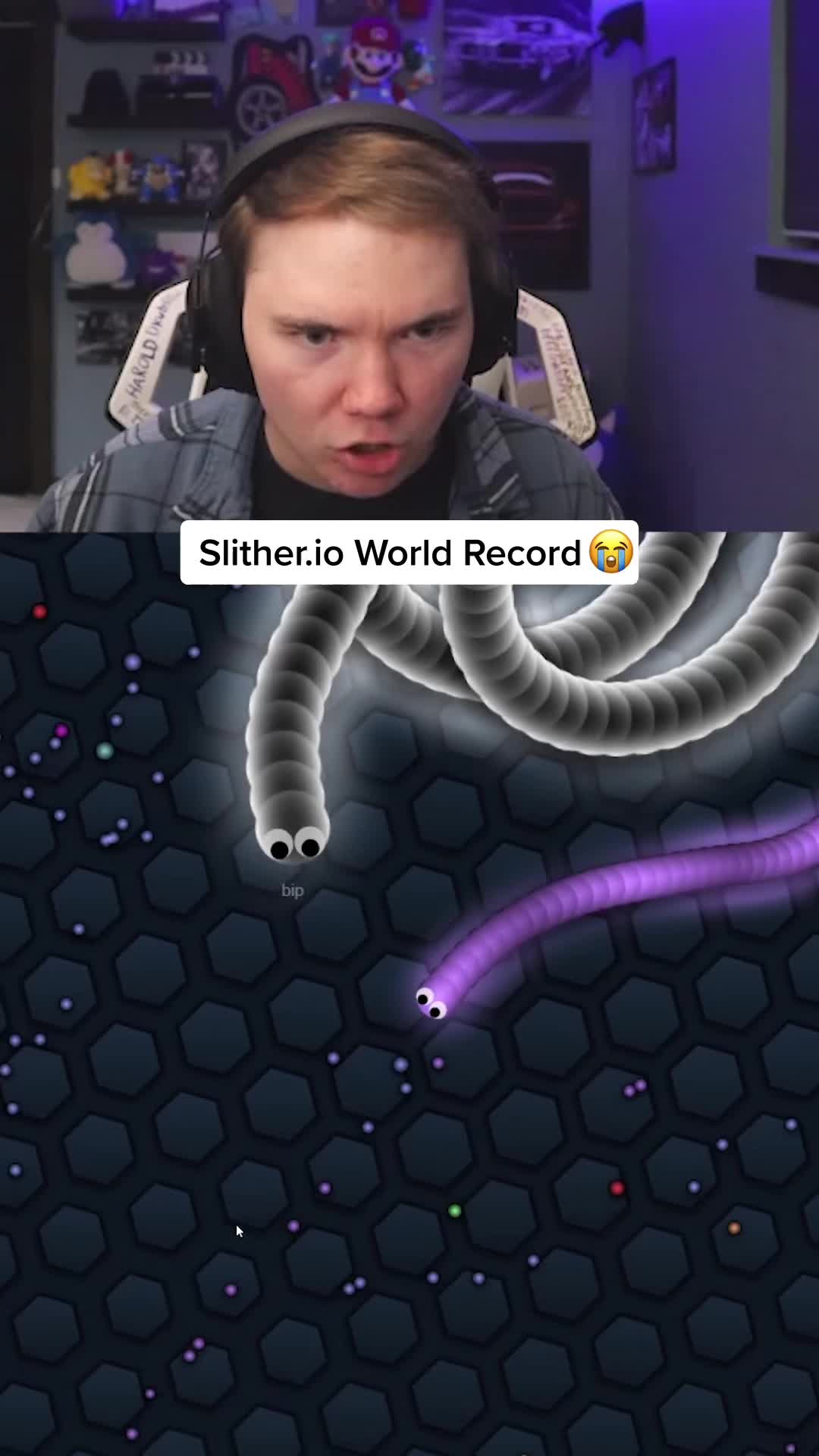 @LionHimself
