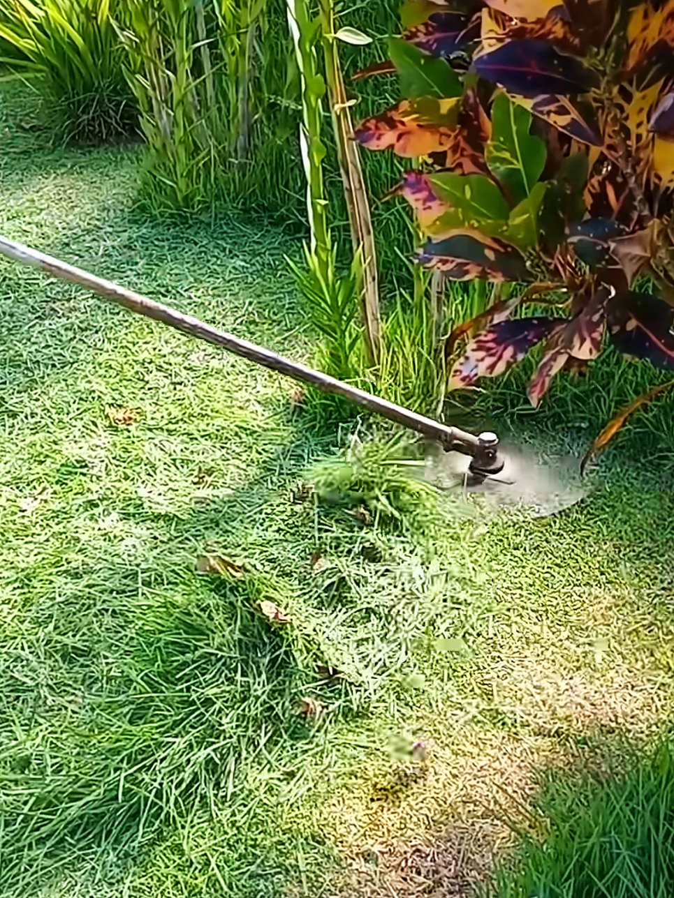 @Satisfying Mowing