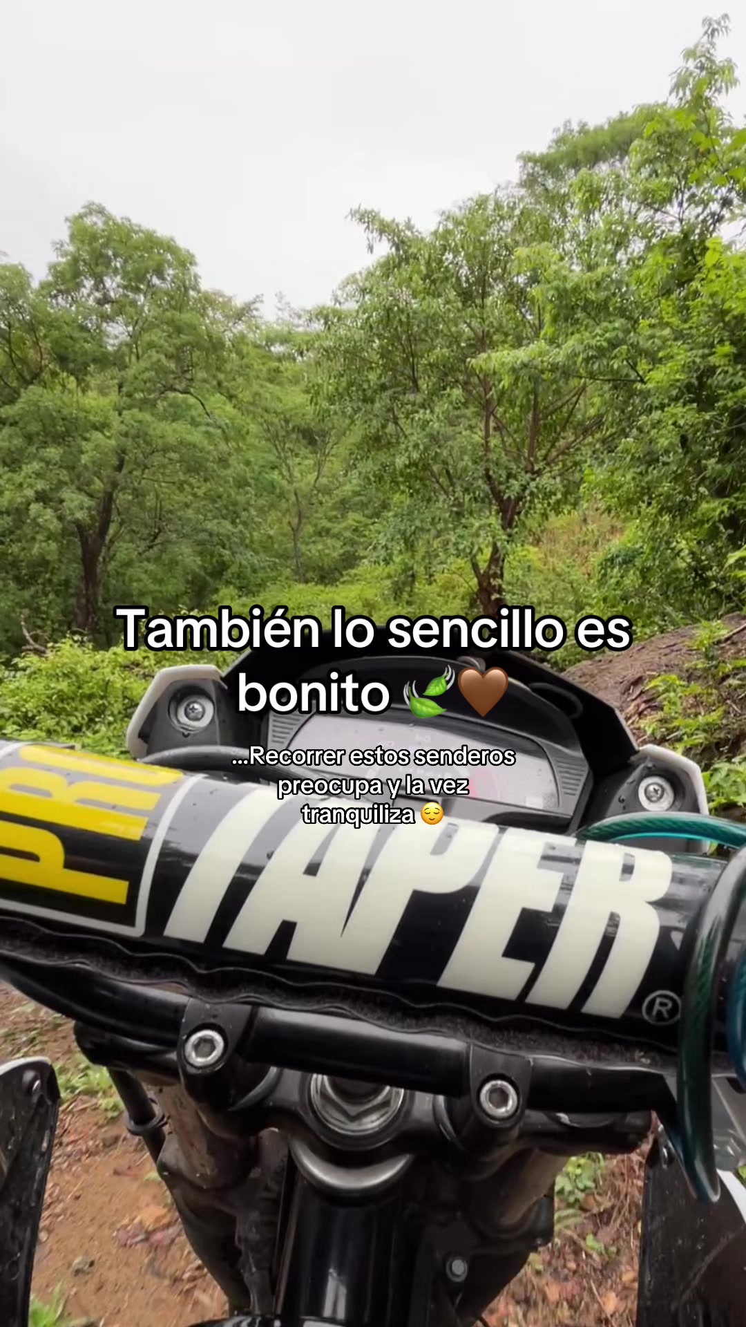 @𝔼𝕝_𝕁𝕠𝕪𝕒 🍃