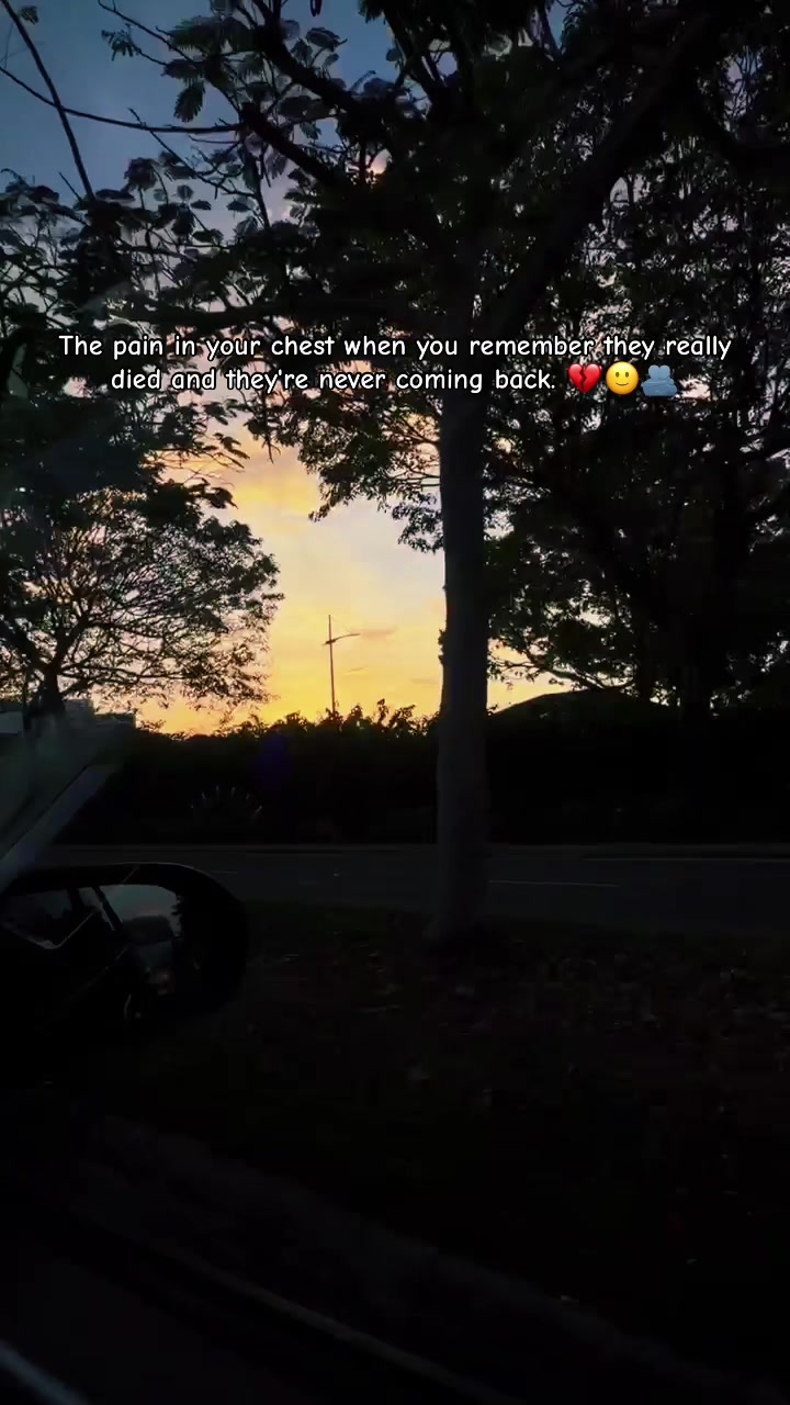 @Anuseeri_🌻✨