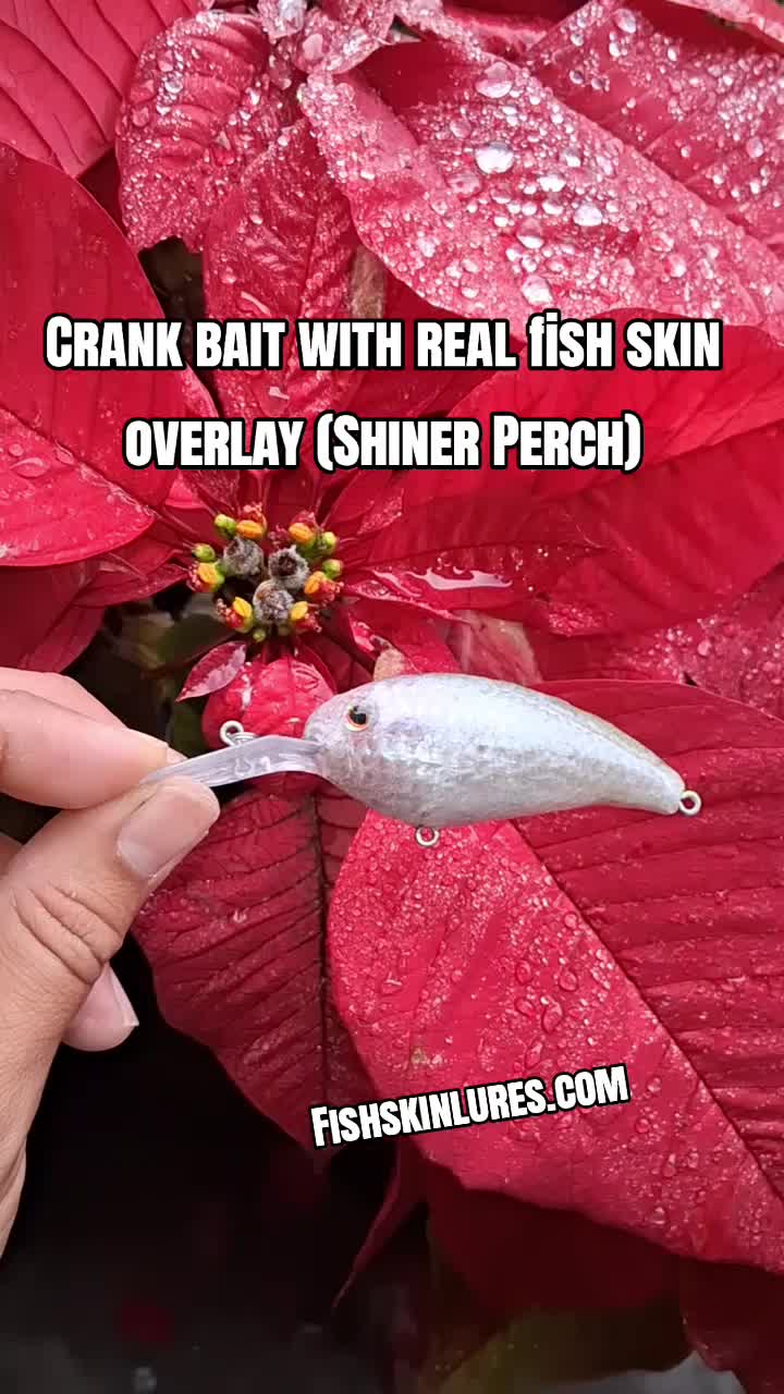 @Fish Skin Lures