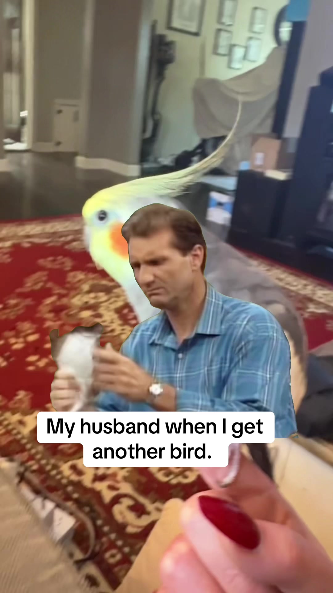 @🇺🇸🦜BirdieJo🦜🇺🇸