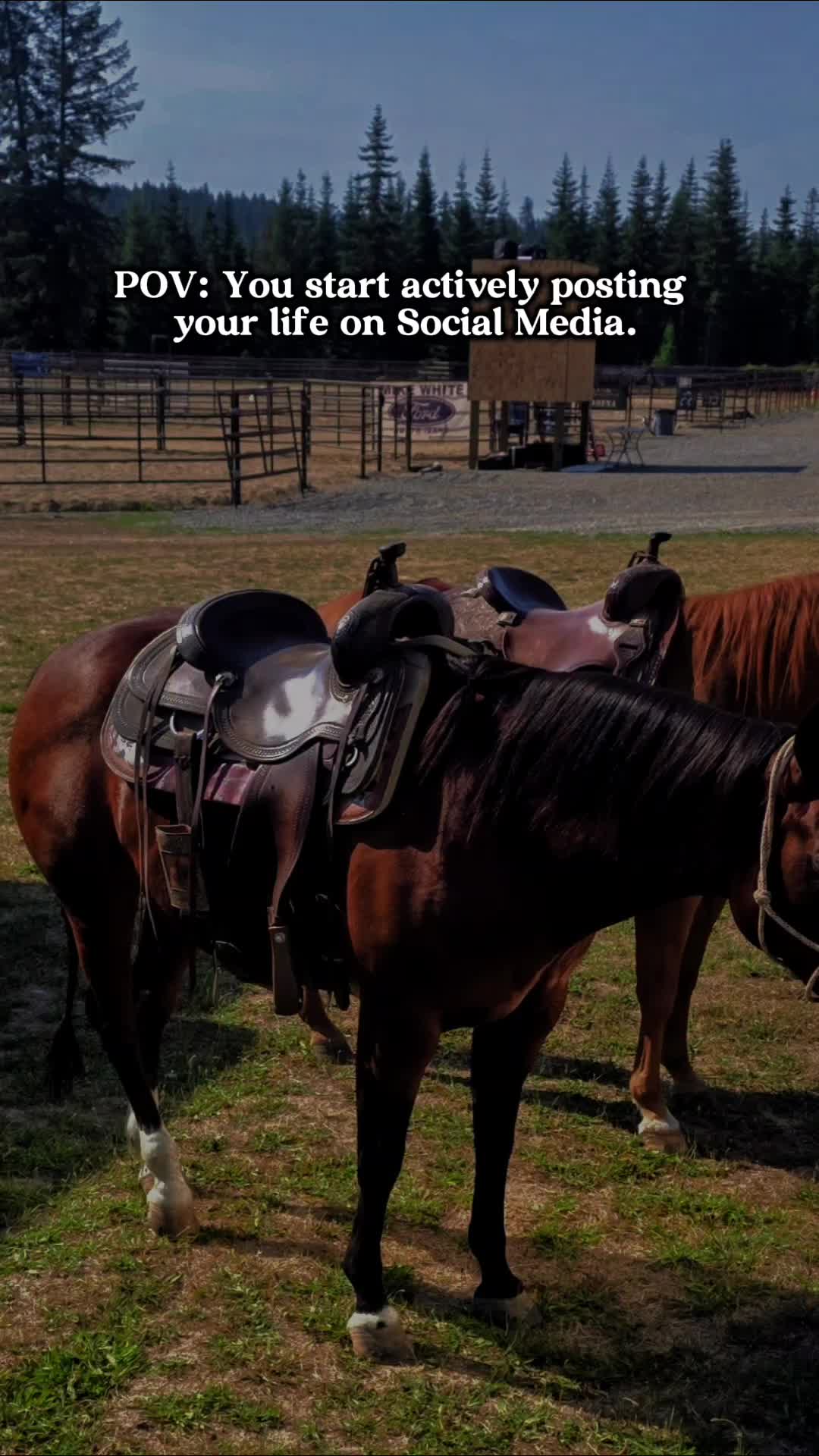@🐴 ColdMountainRanch 🏇