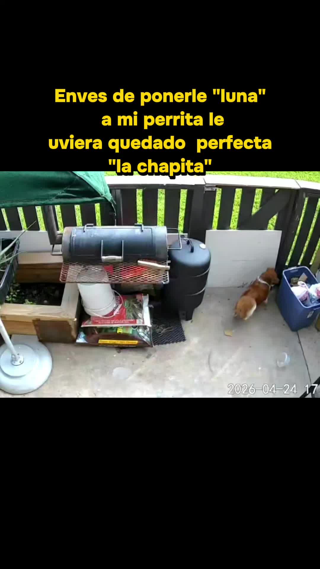 @Nayarely