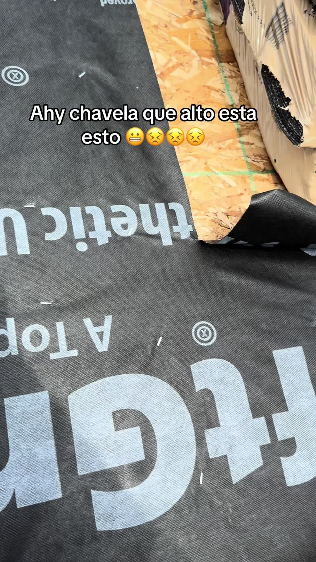 @Dani Eusebio😼🫧