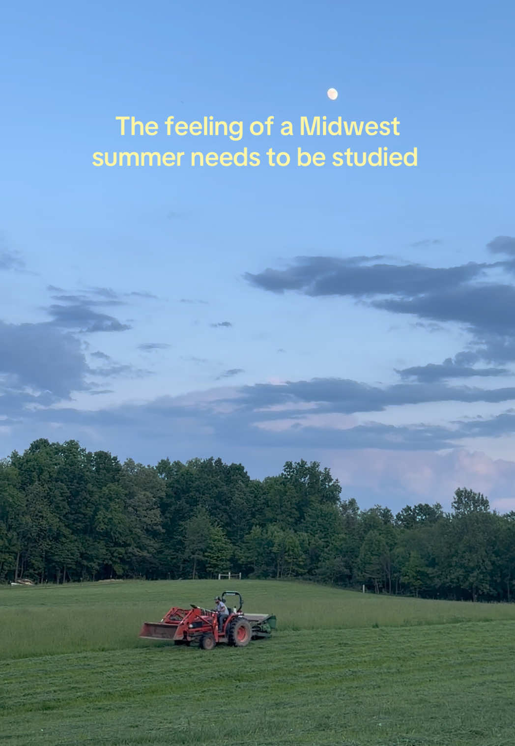 @Bethany 🧸