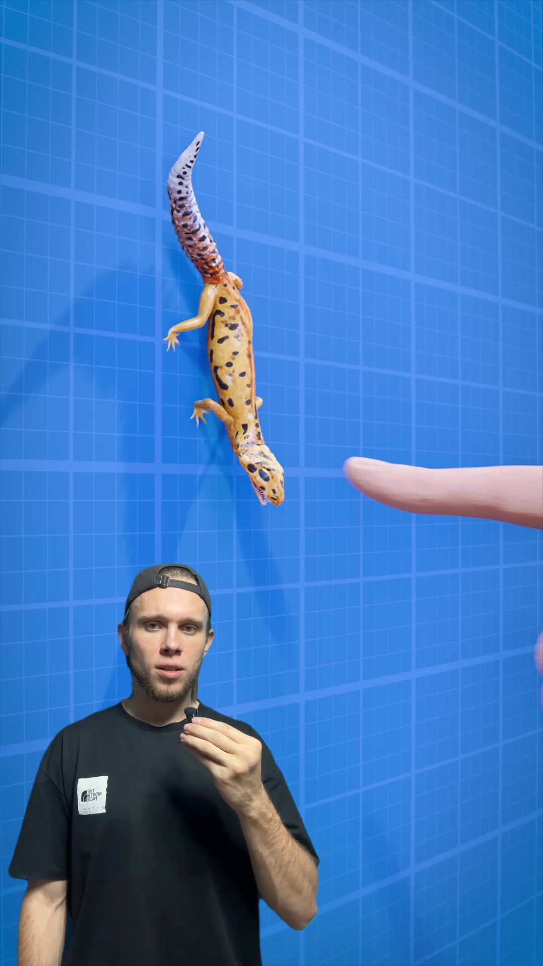 @FactТяу
