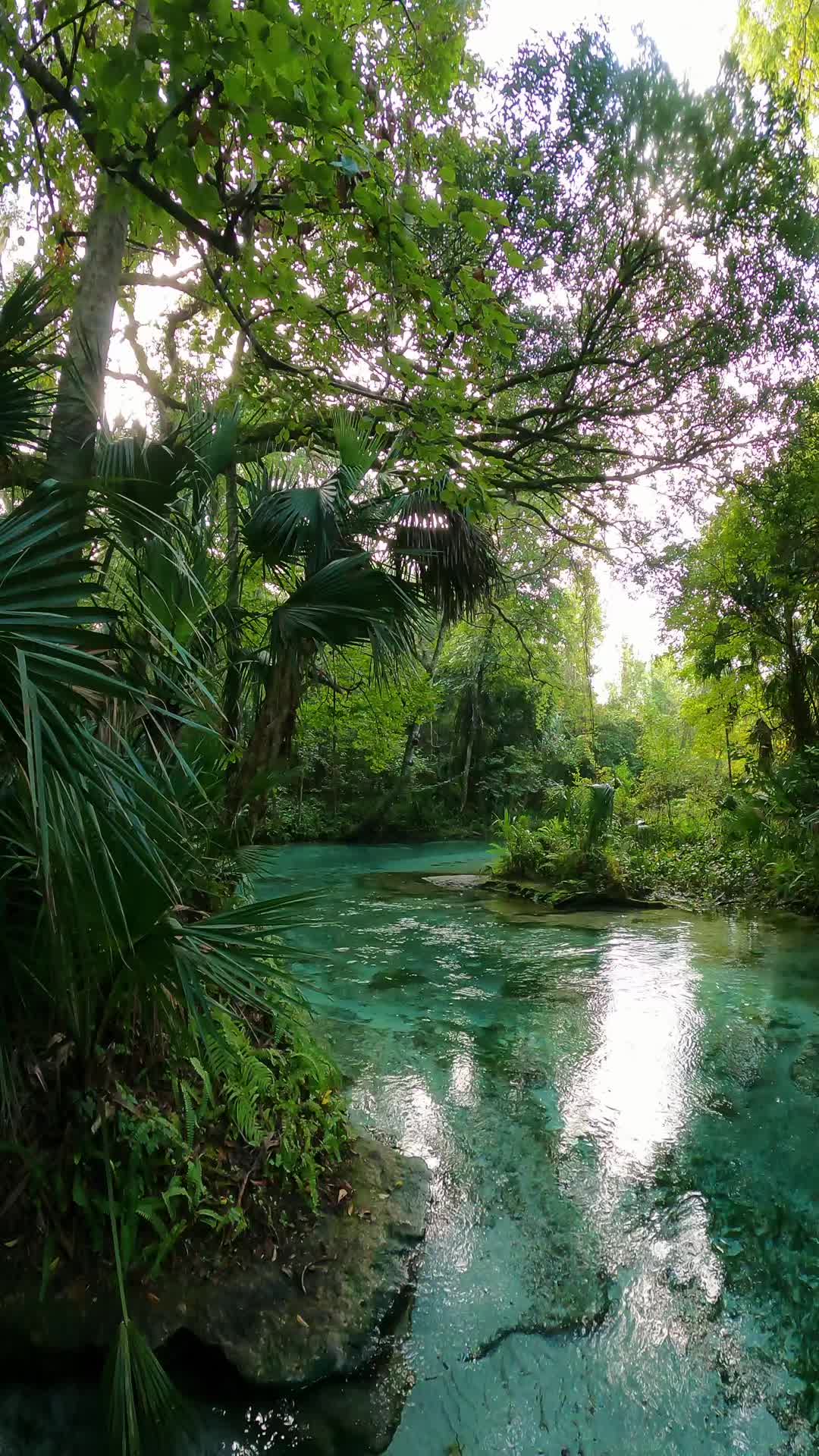 @FLSwimPaddleHike