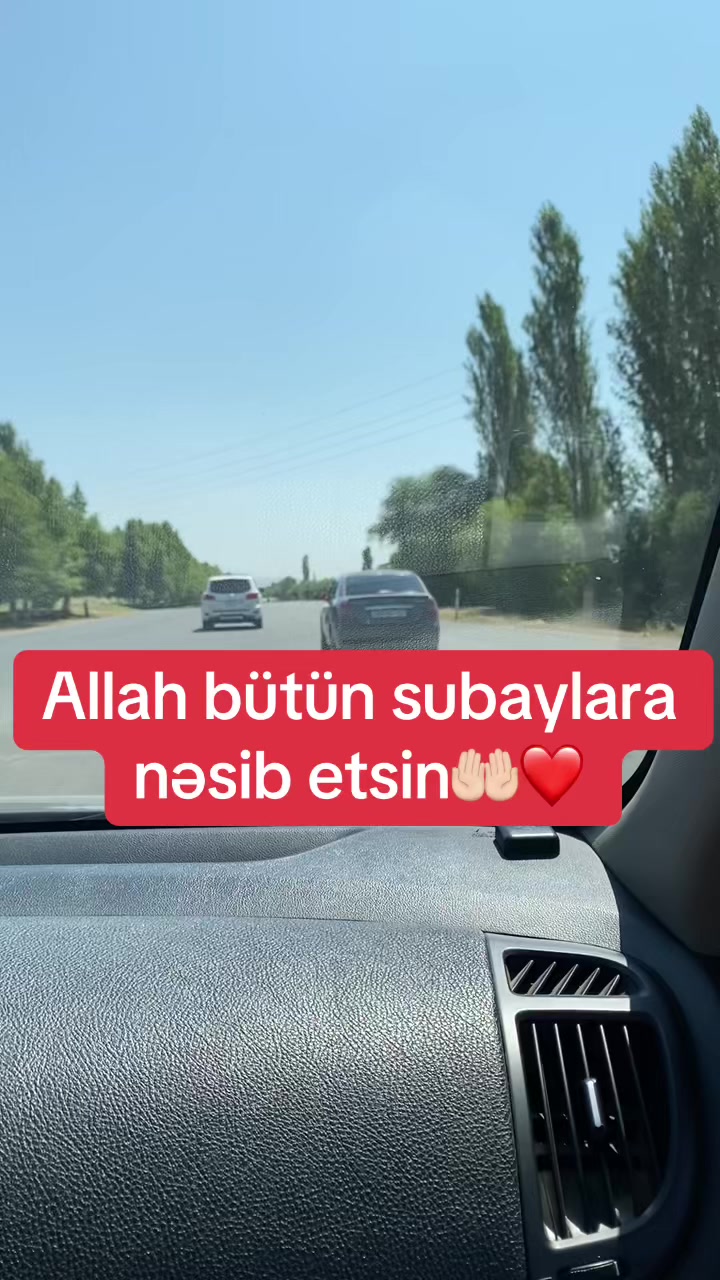 @_gulu_313