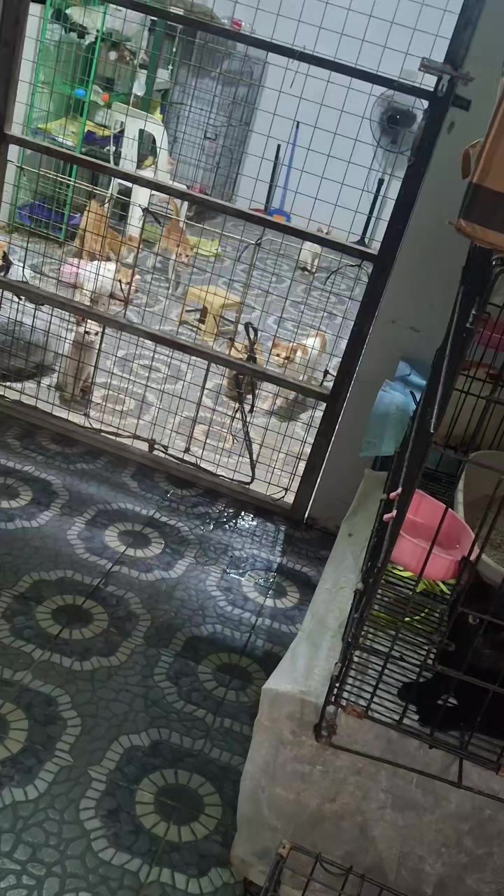 @mylharescues