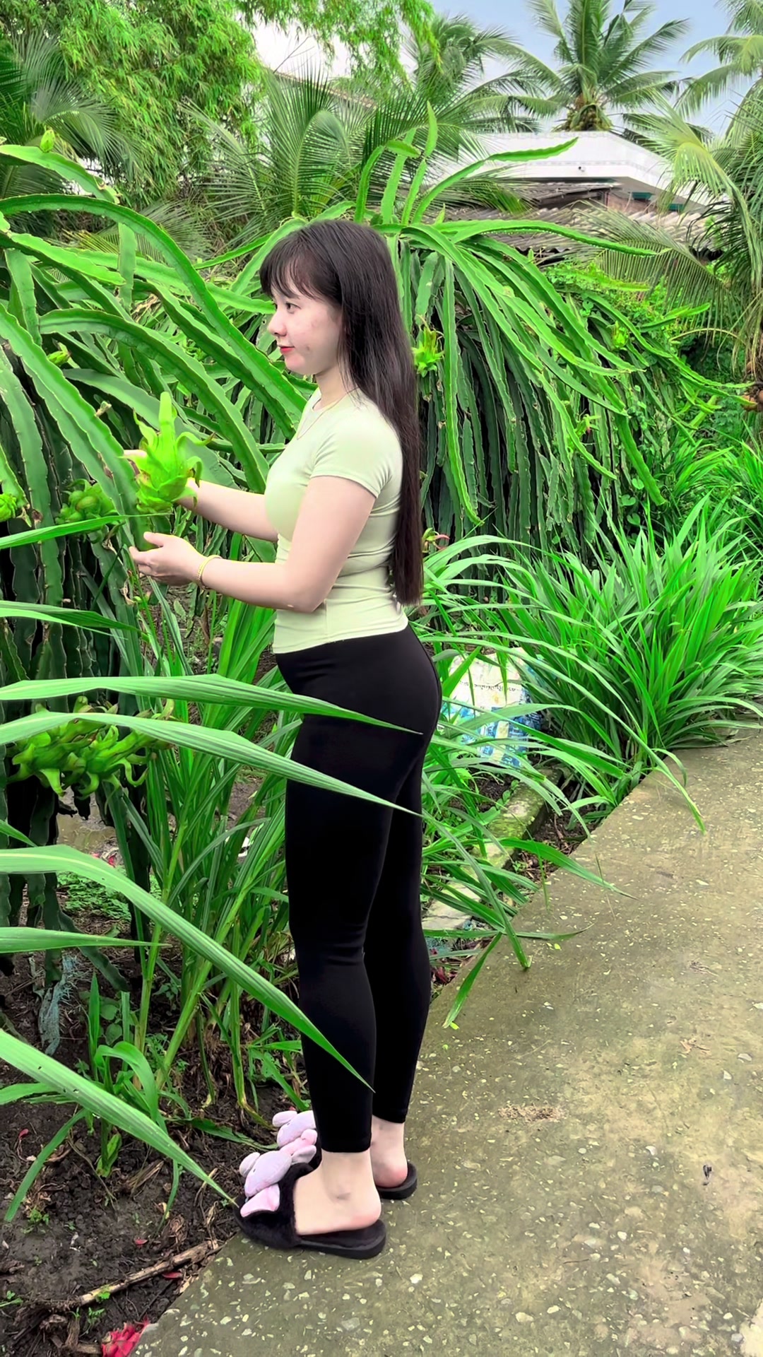@Cẩm Tr&uacute;c