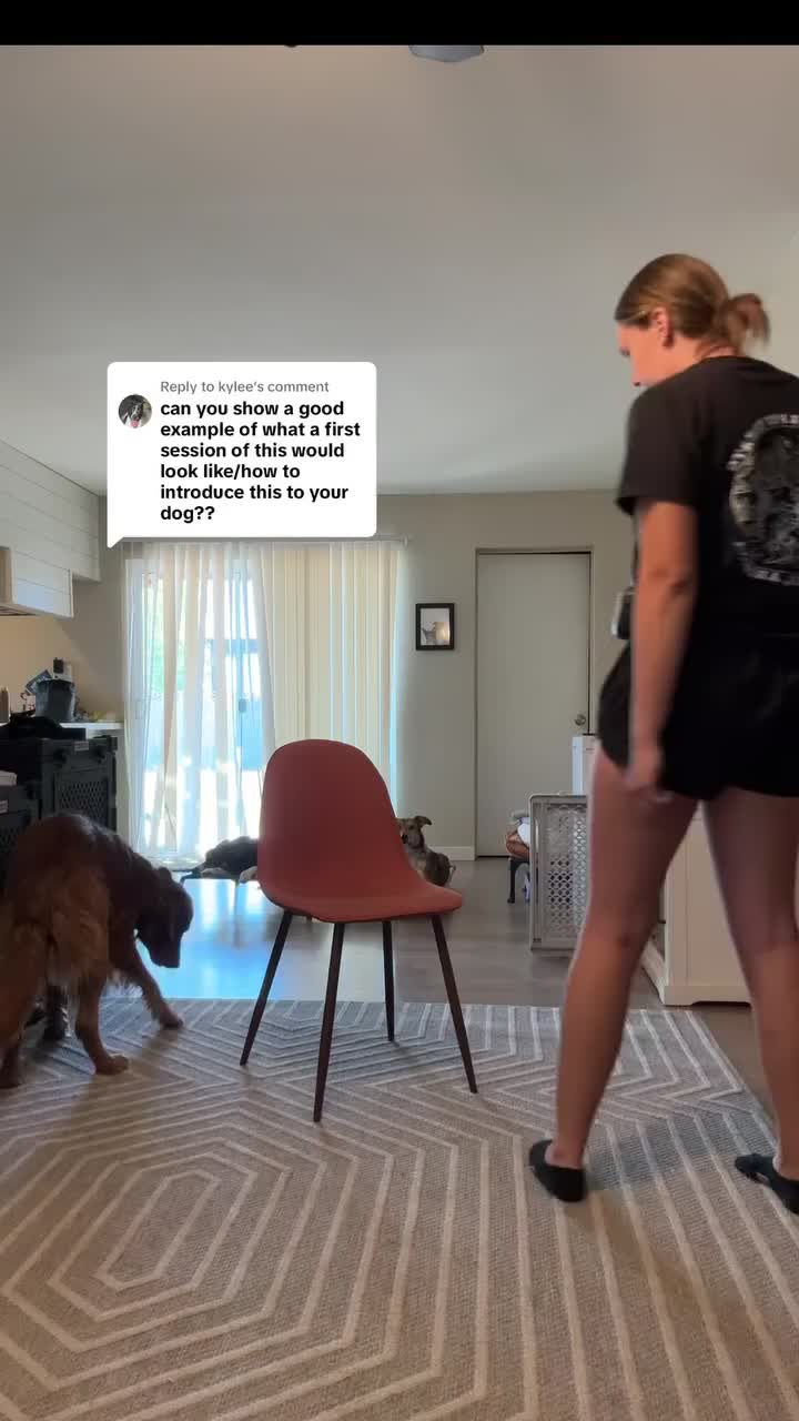 @Marissa | K9 Fitness Coach 🐾