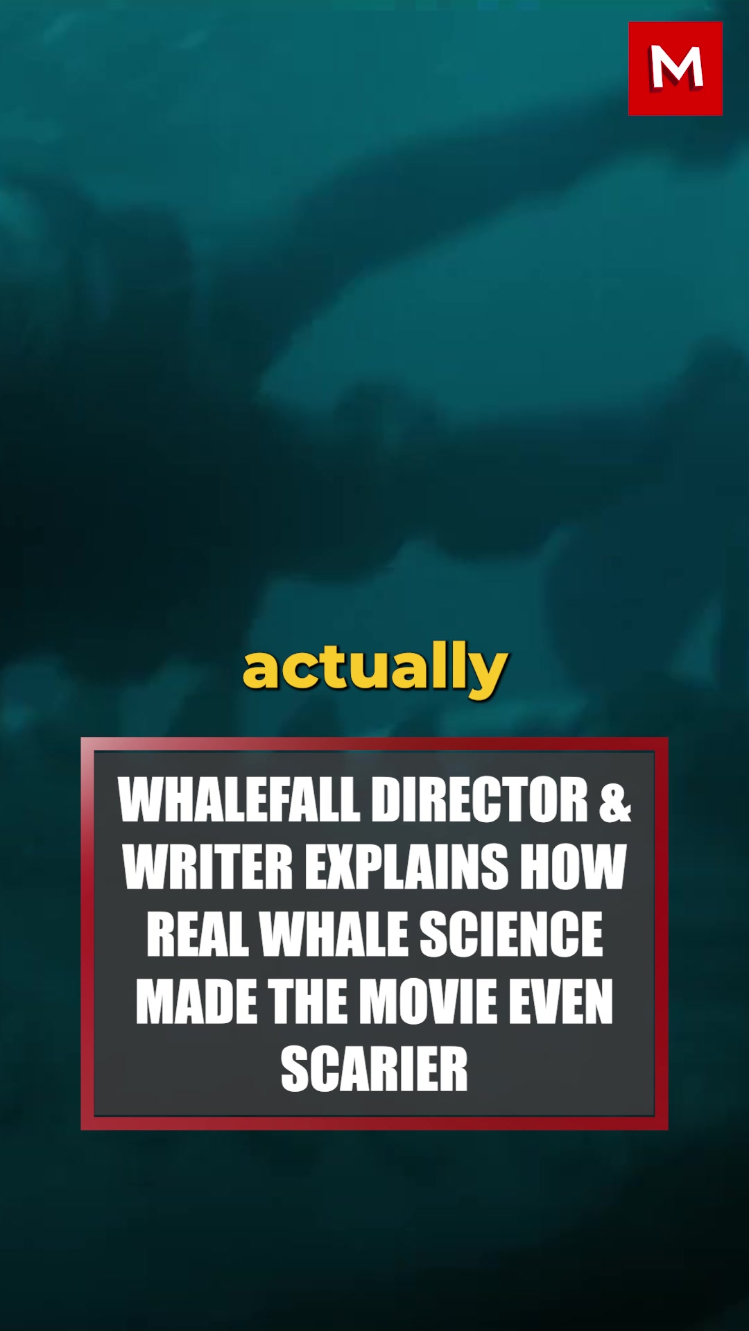 @MovieWeb
