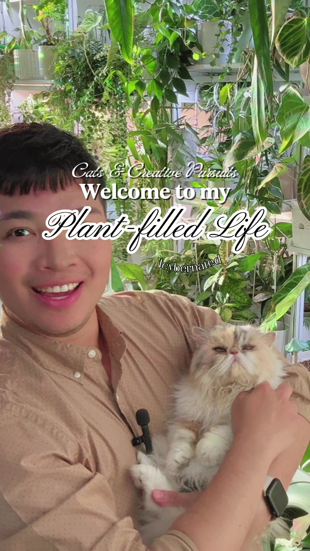 @Cyril’s Plants | Cats | DIY 🌿