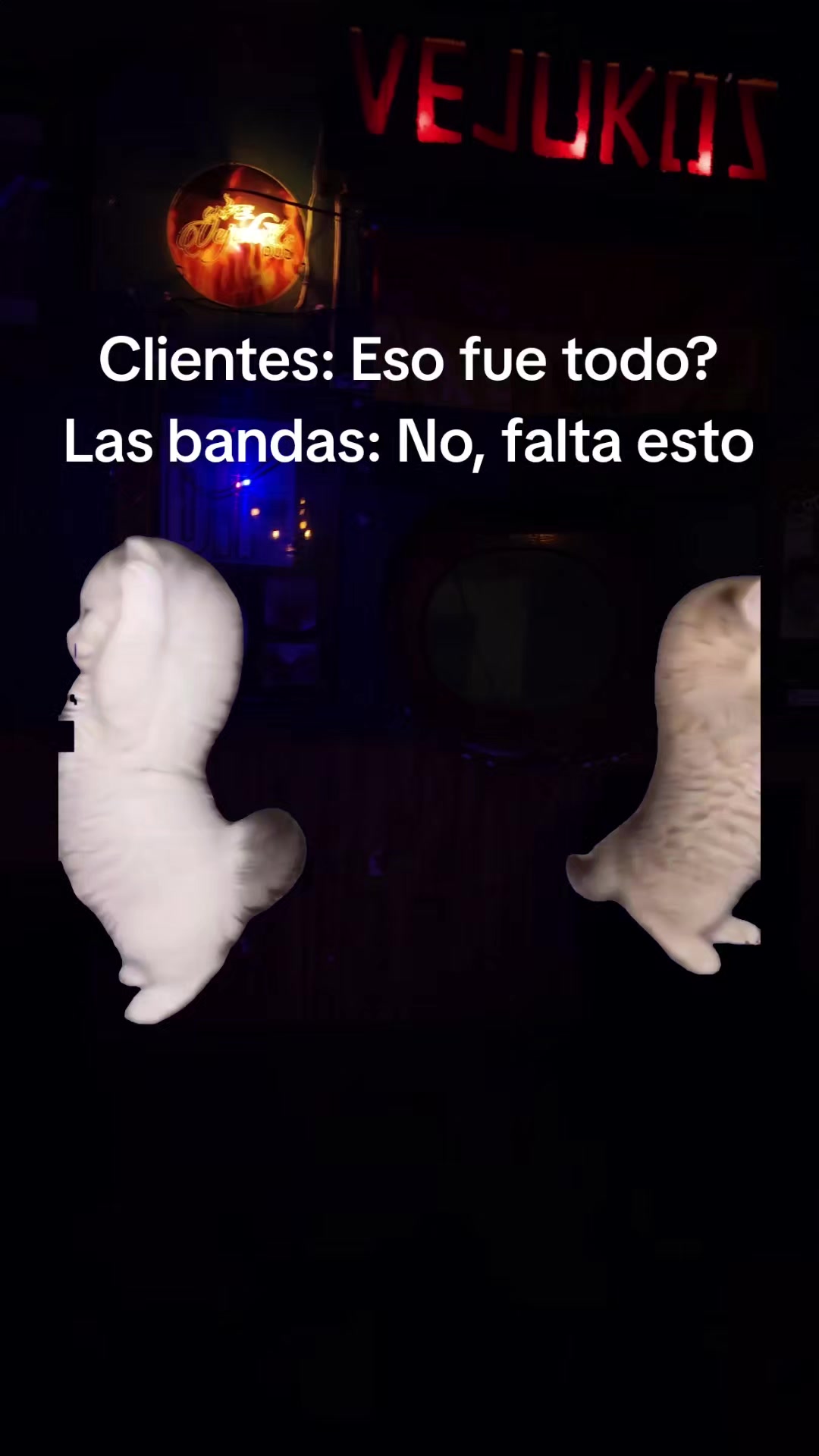 @El Vejuko's