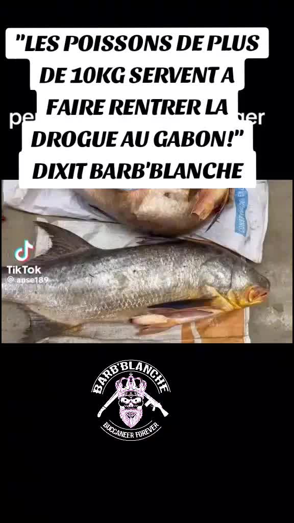 @BARB'BLANCHE JR AARON OKVL🇬🇦