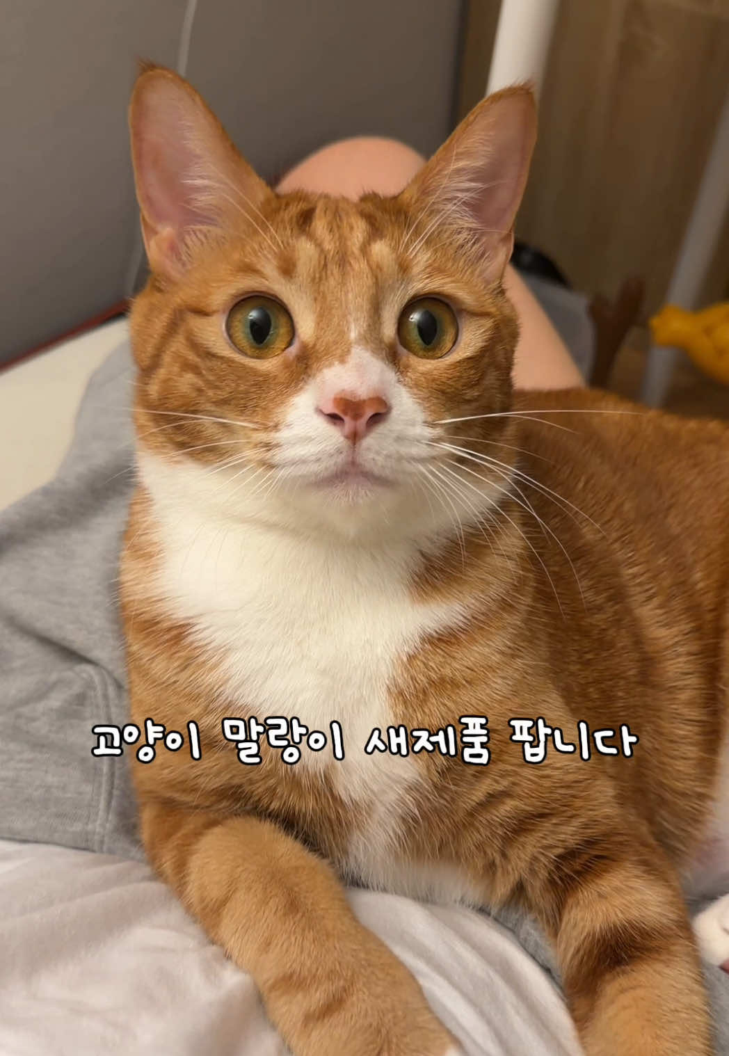 @뮤춘삼