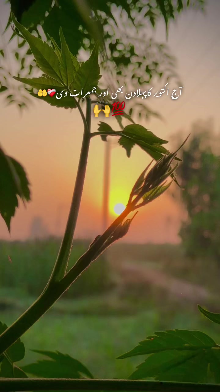 @پنڈا والے  راجپوت☘️☘️ظفر وال🤗