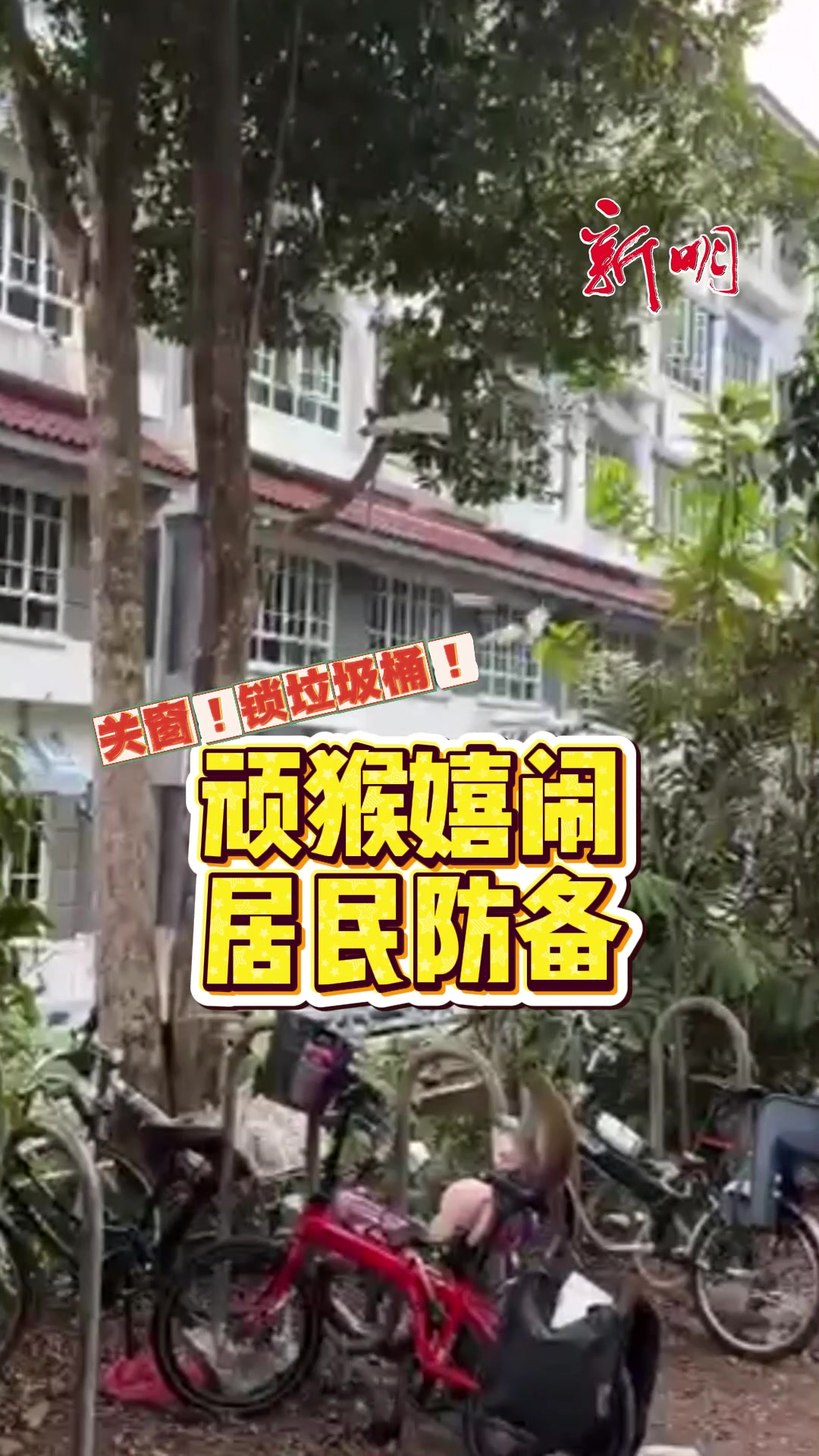 @新明日报