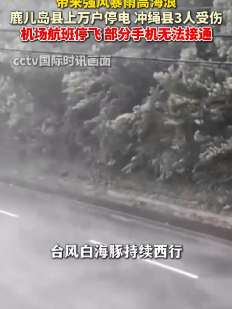 @中国蓝国际
