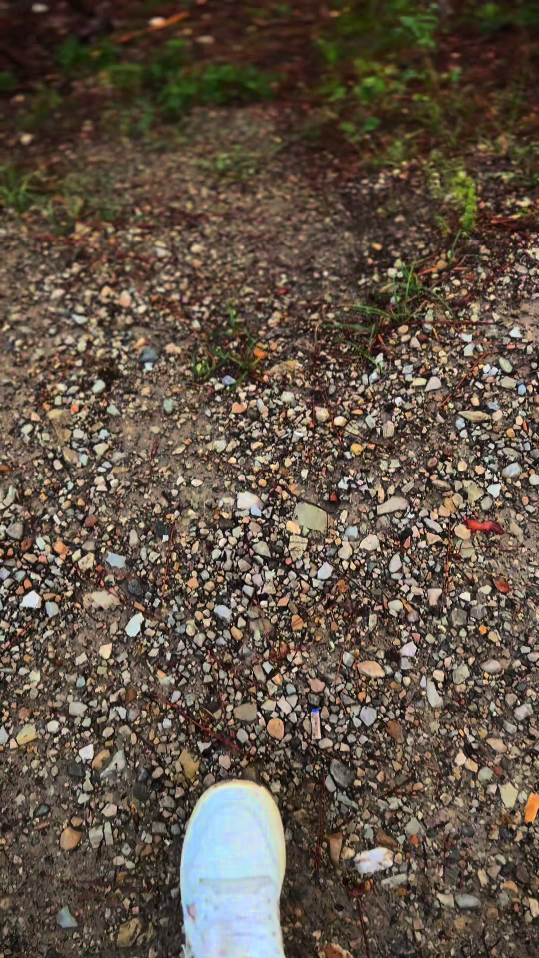 @Викиитория