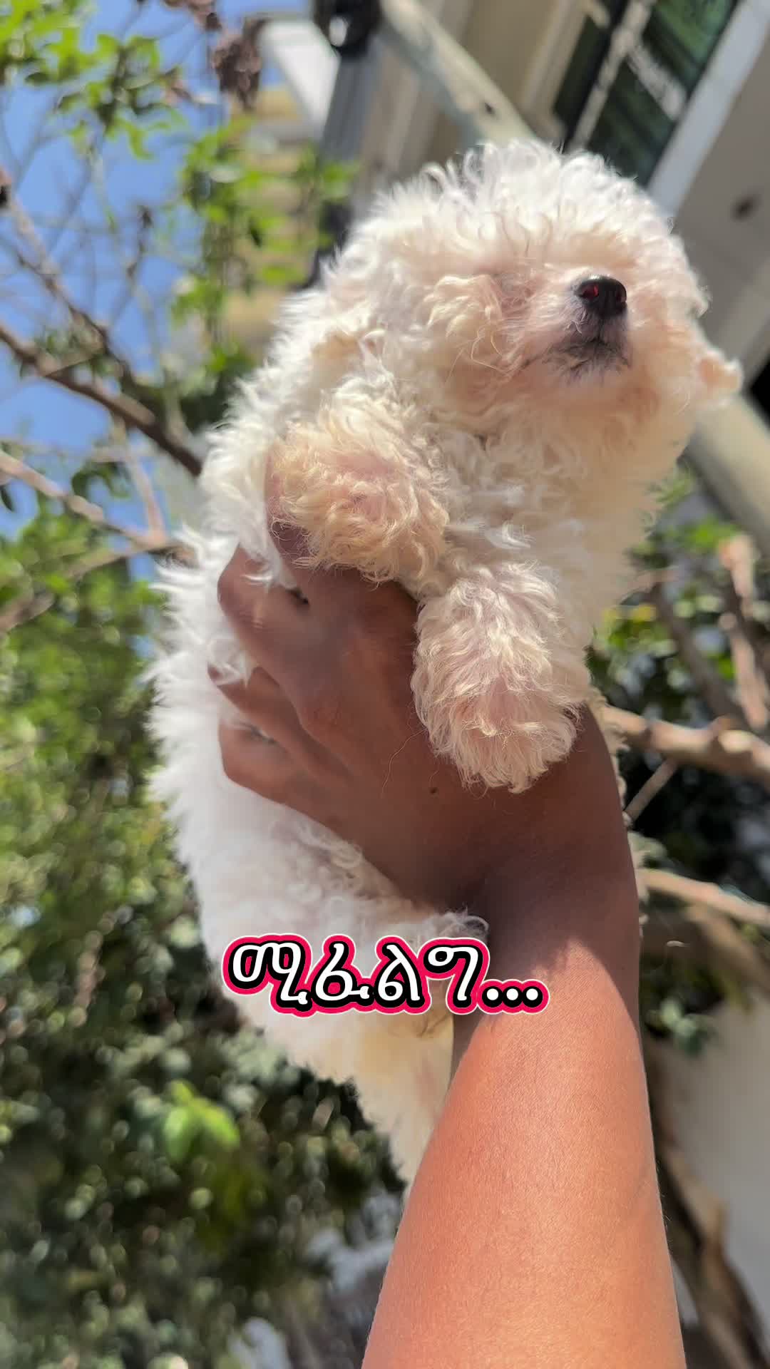 @KENNEL+๐พ