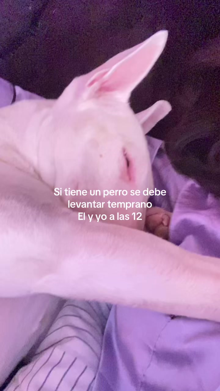 @Mafer_g🐚✨