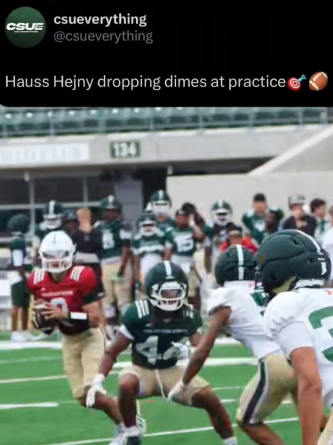 @Hauss