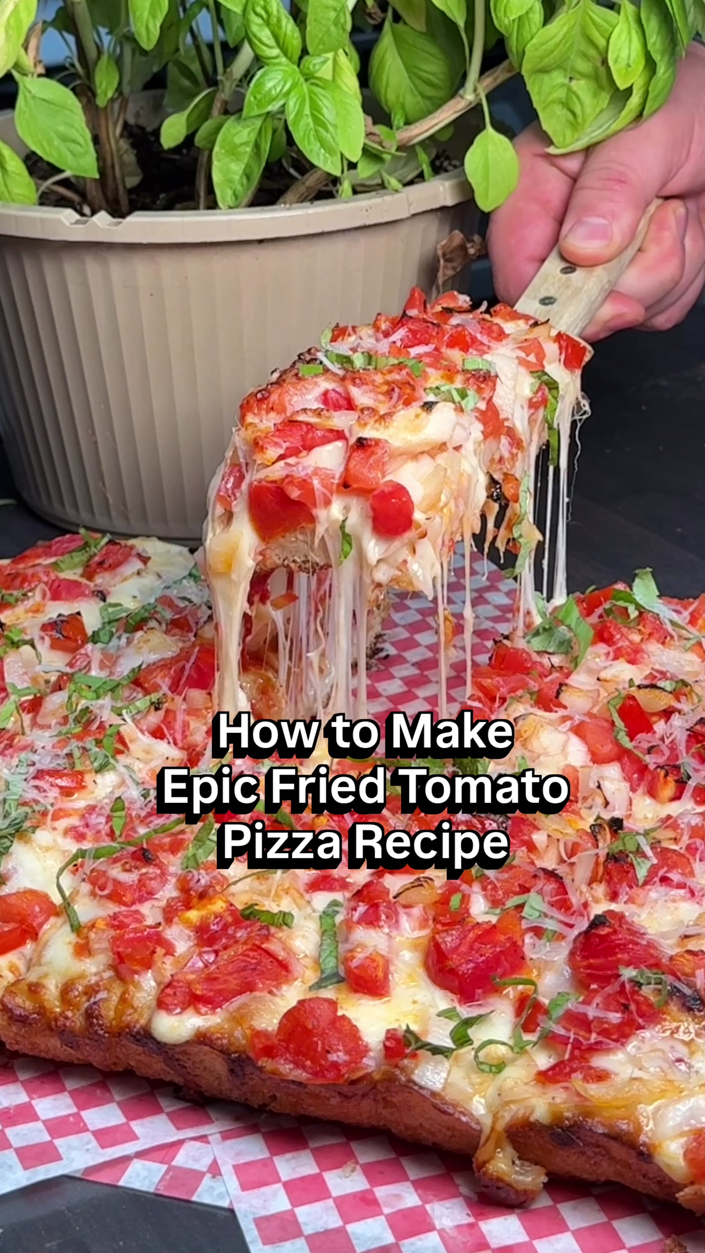 @NEPA Pizza Review
