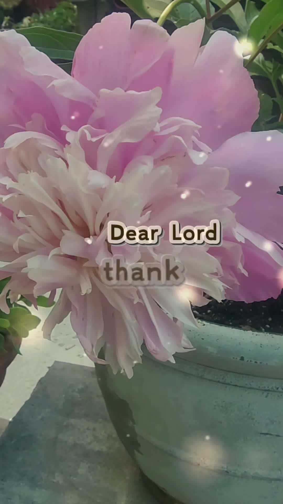 @Annette