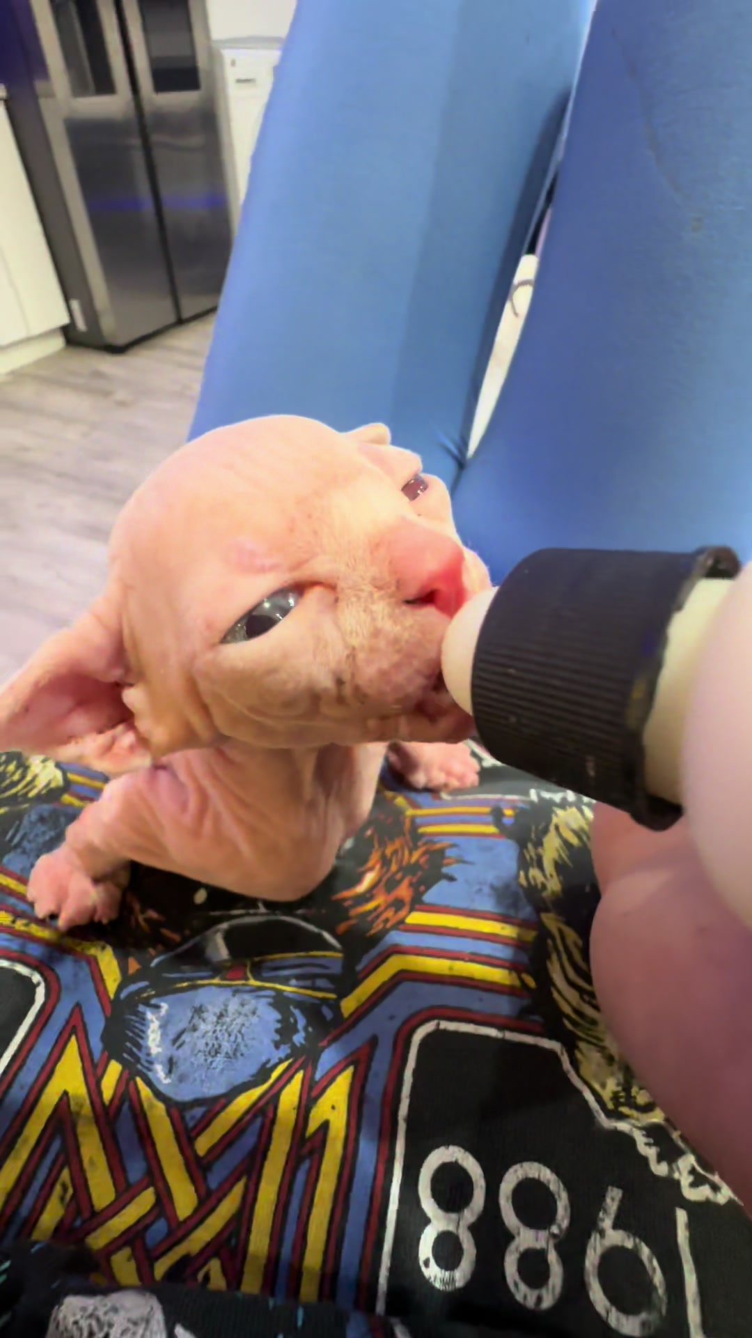@famoussphynx