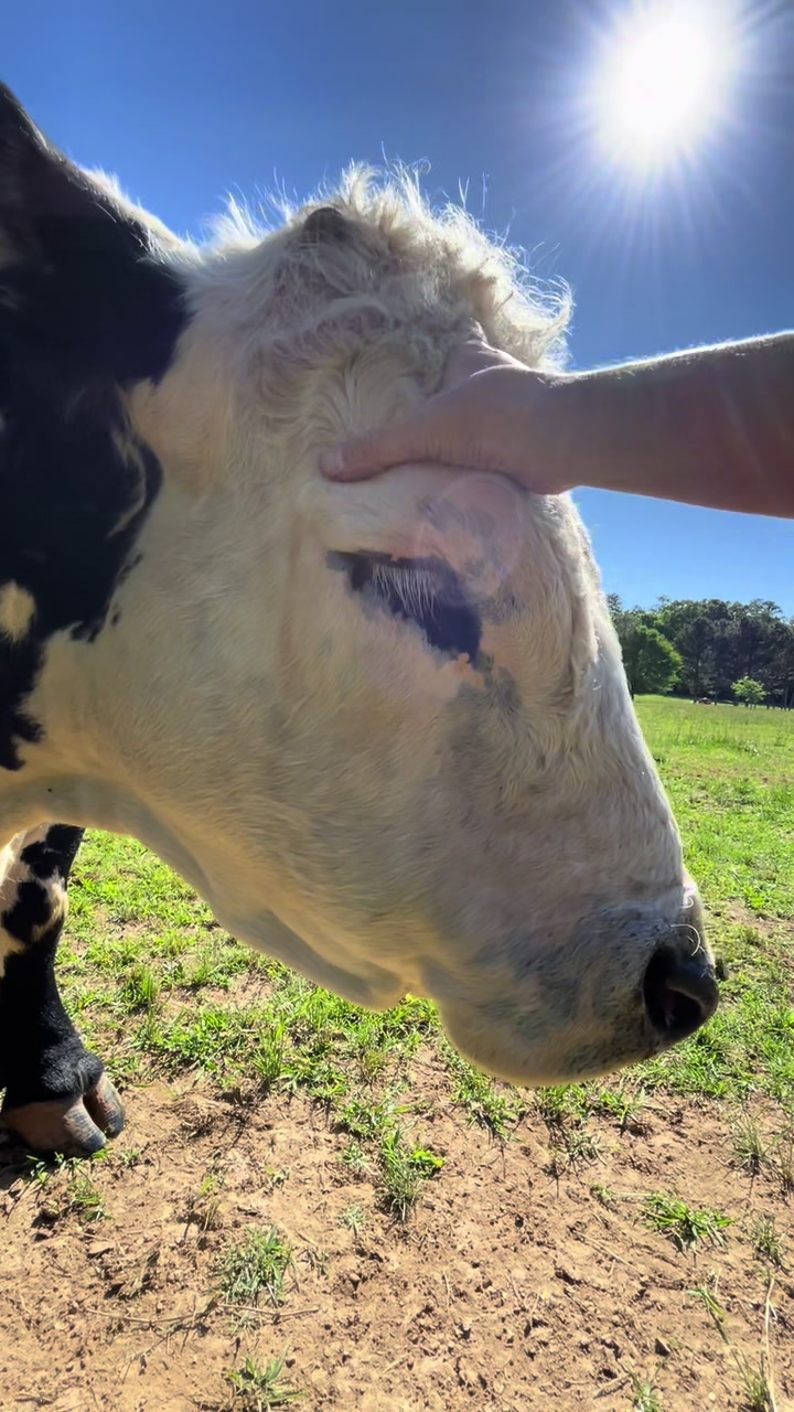 @Georgia Farm Girl
