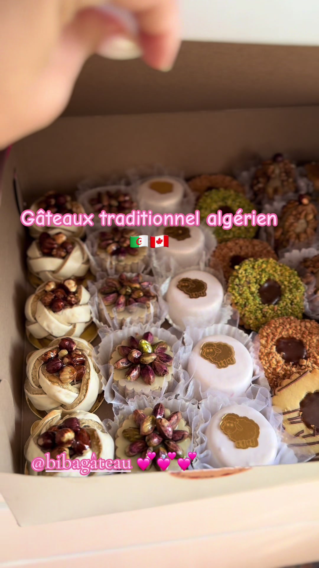 @Mr & Mrs G In Canada 🇩🇿🇨🇦