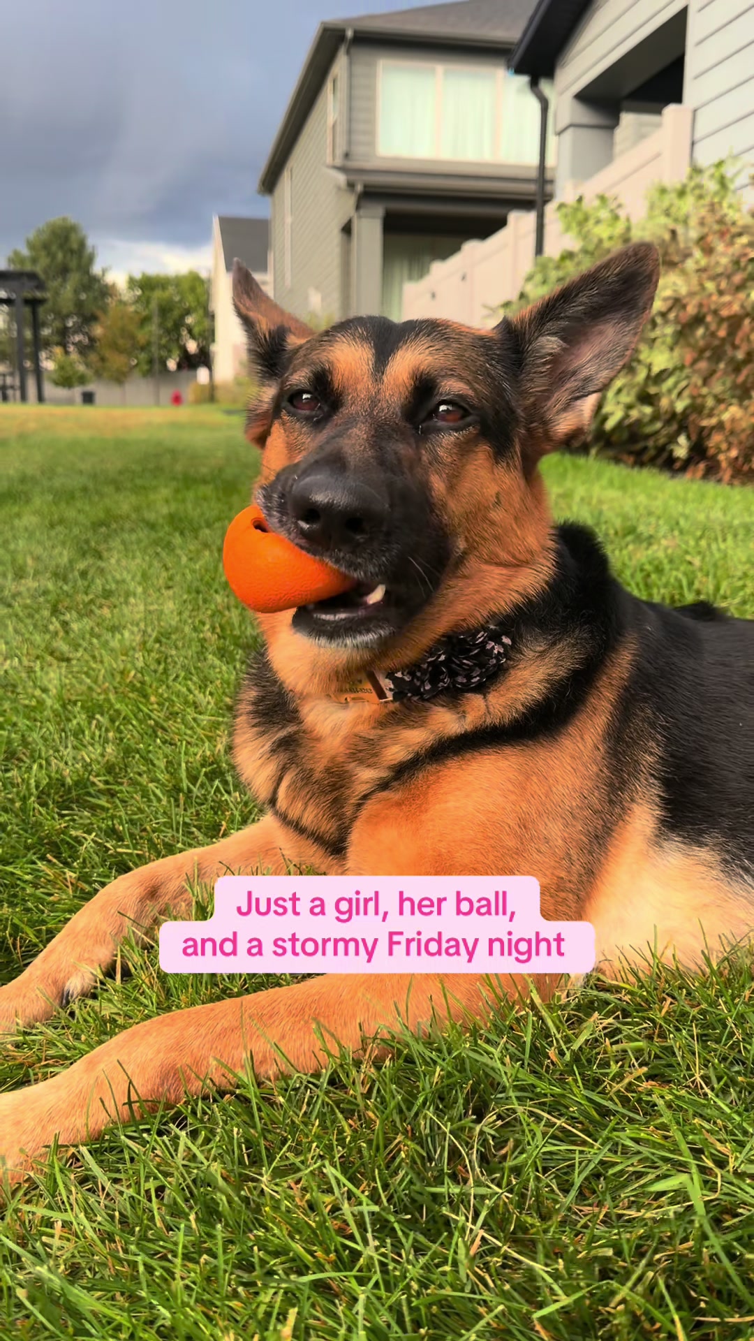 @Rory The Not-Working GSD