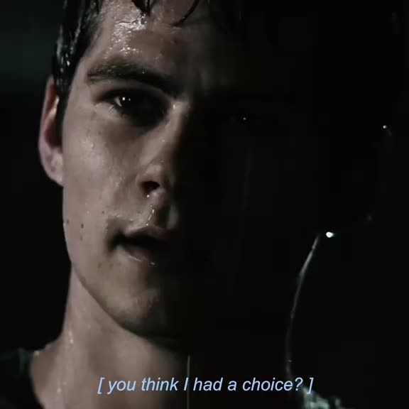 @Nekota🐺