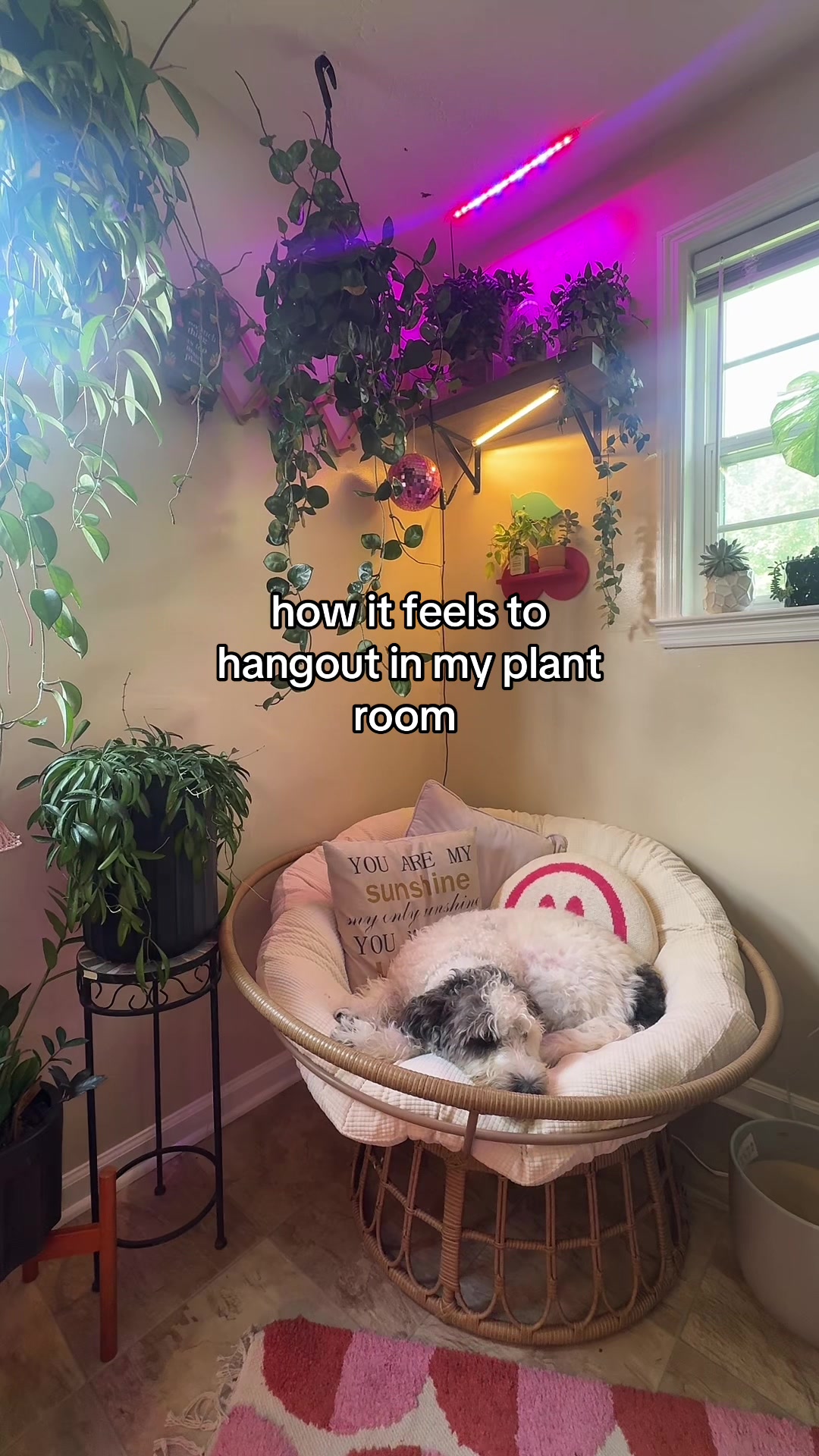 @Pretty Plants Nashville