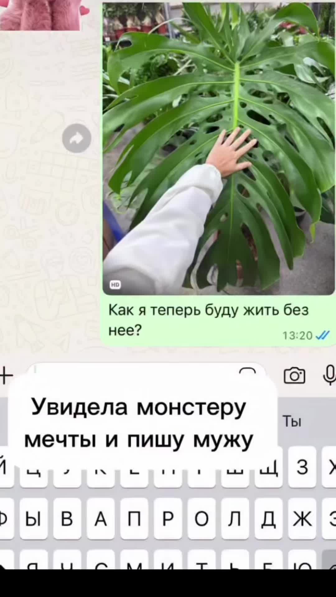 @🌹Екатерина🌹