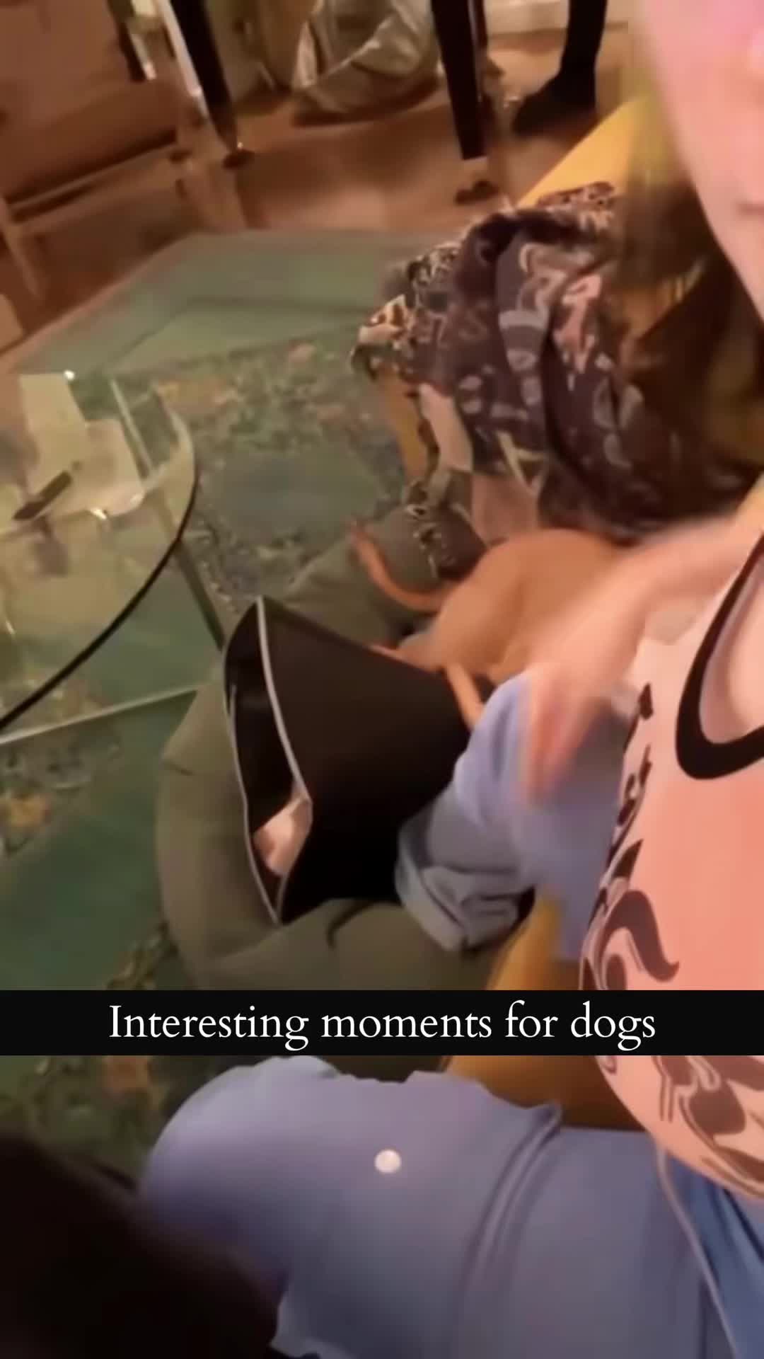 @charliethecharmingpup