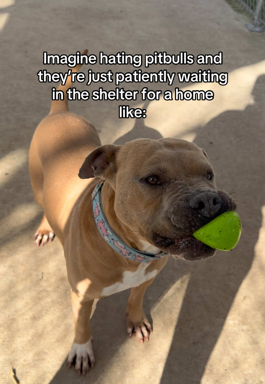 @Corridor Rescue Inc.