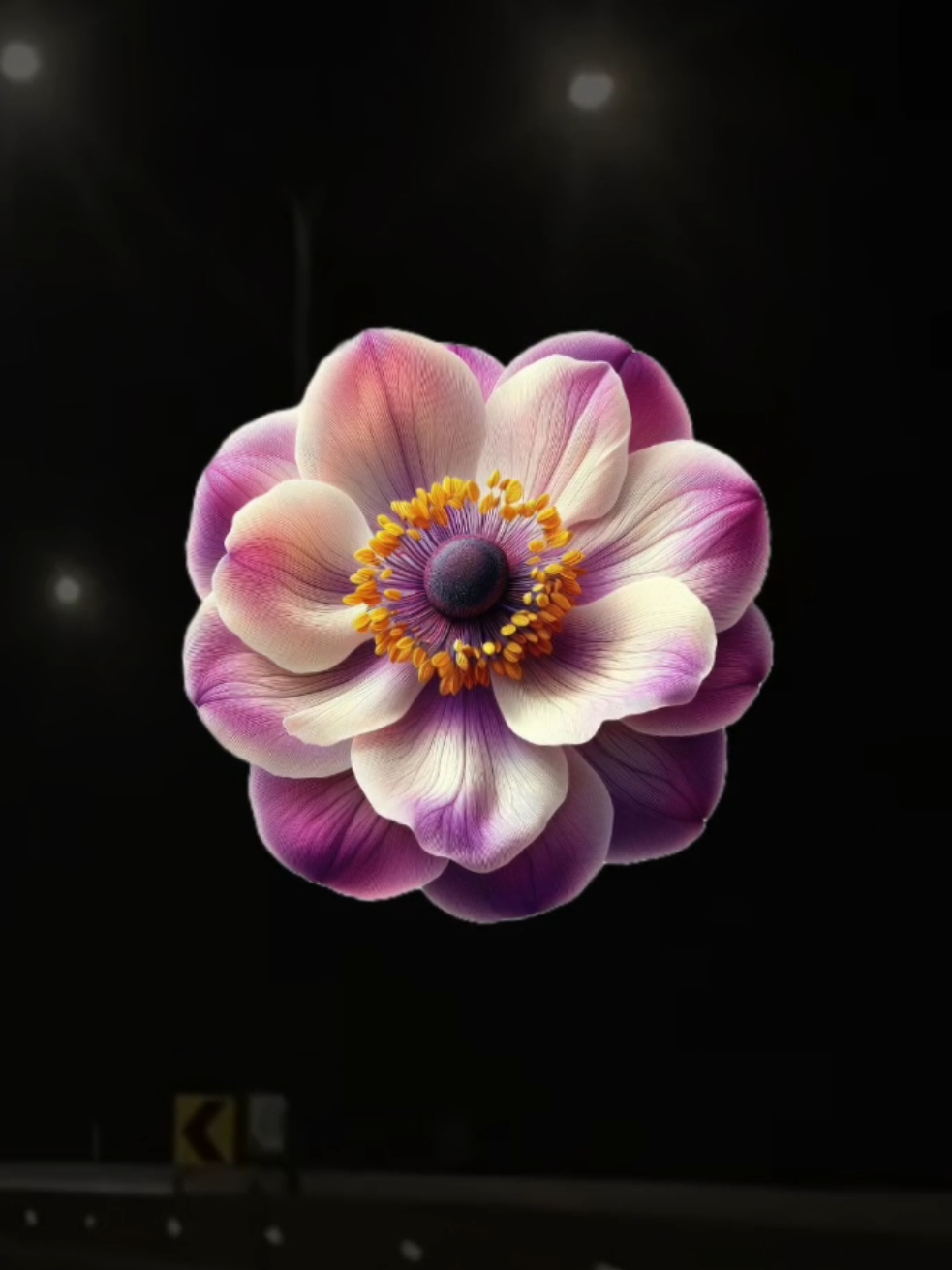 @𝐗𝐕𝐈 𝐀.𝐂