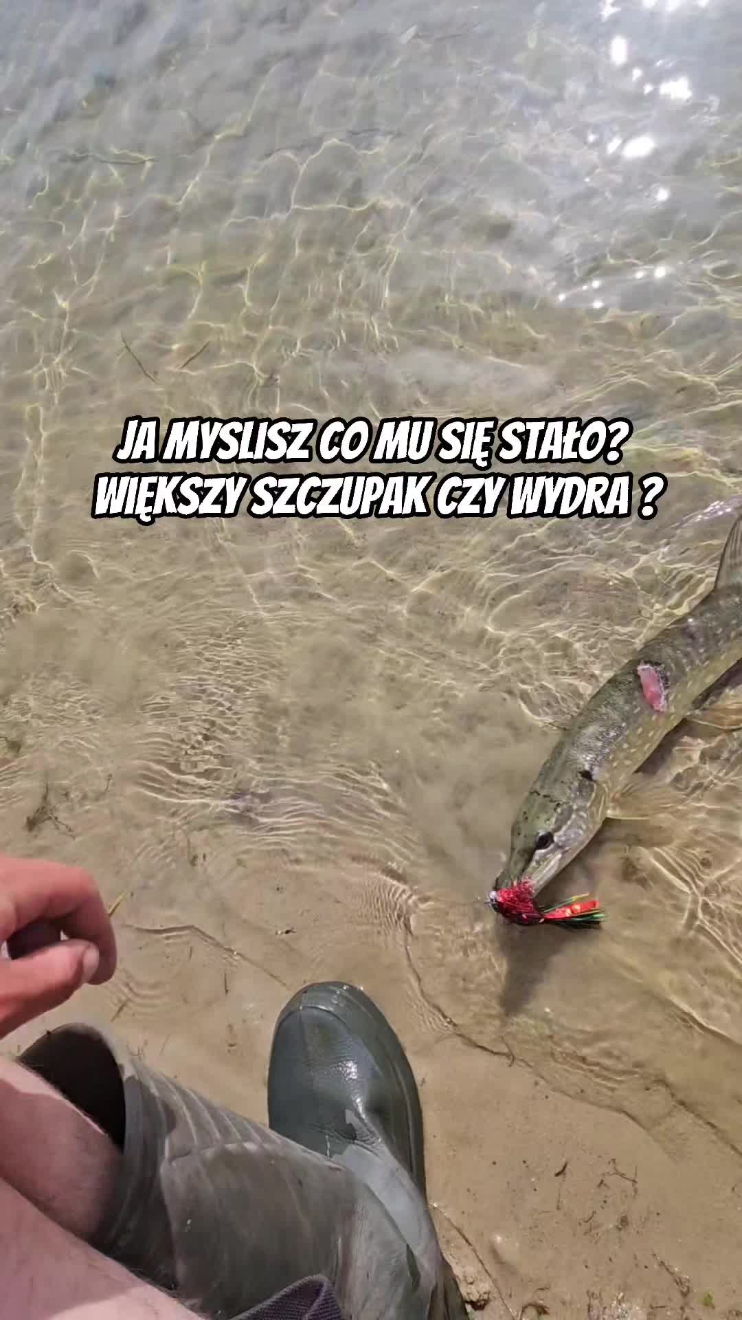 @mfly_lures