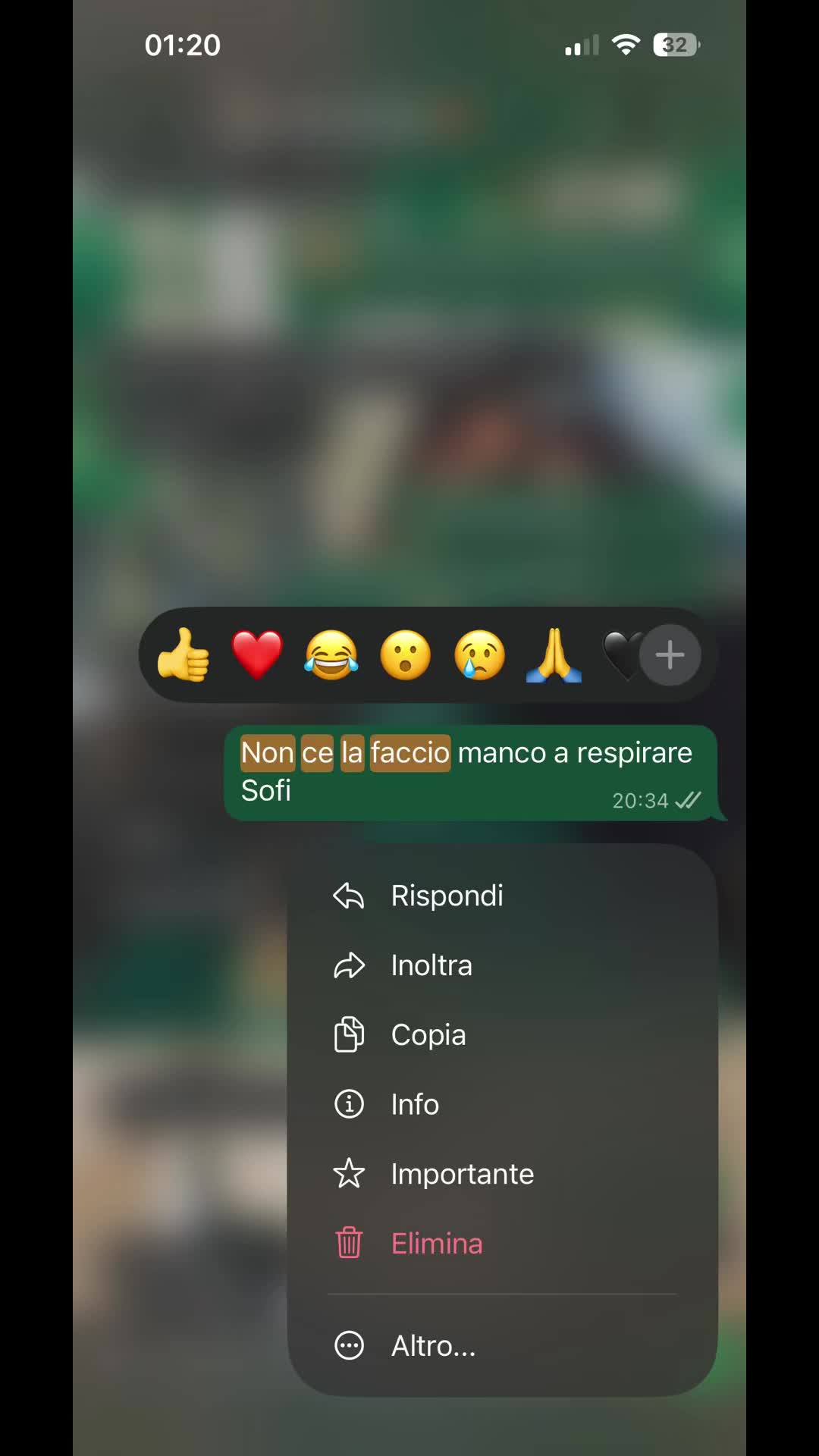@serenalicciardello_
