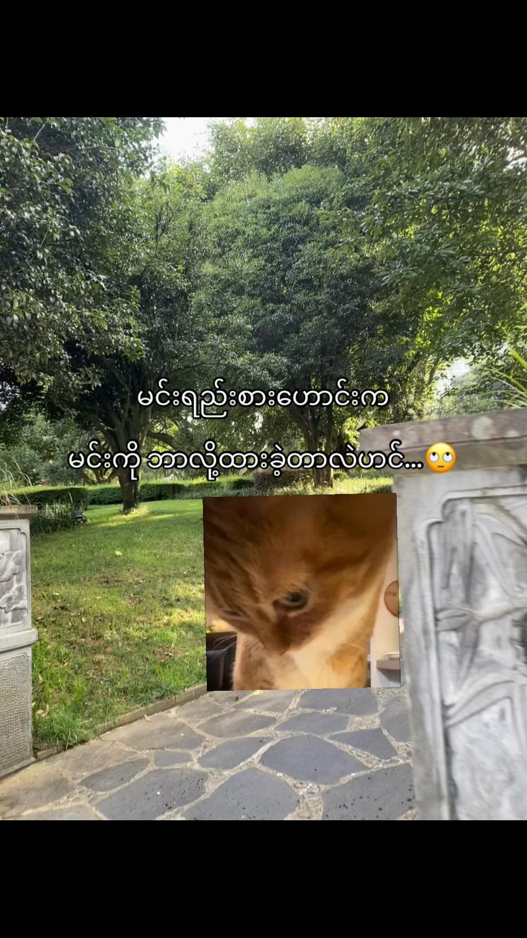 @๐๐พ๐๐”